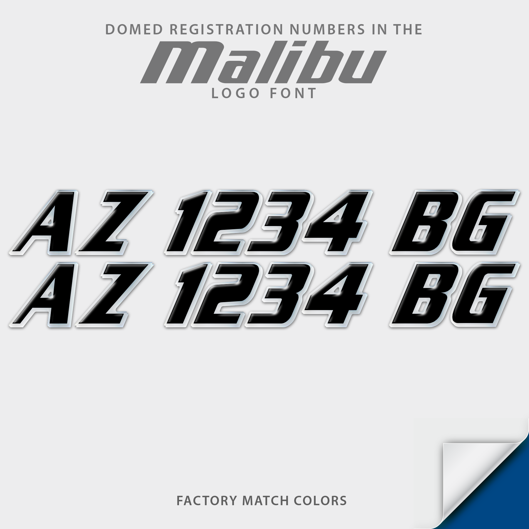 2001-2005 Malibu Domed Registration, Factory Decal Matched