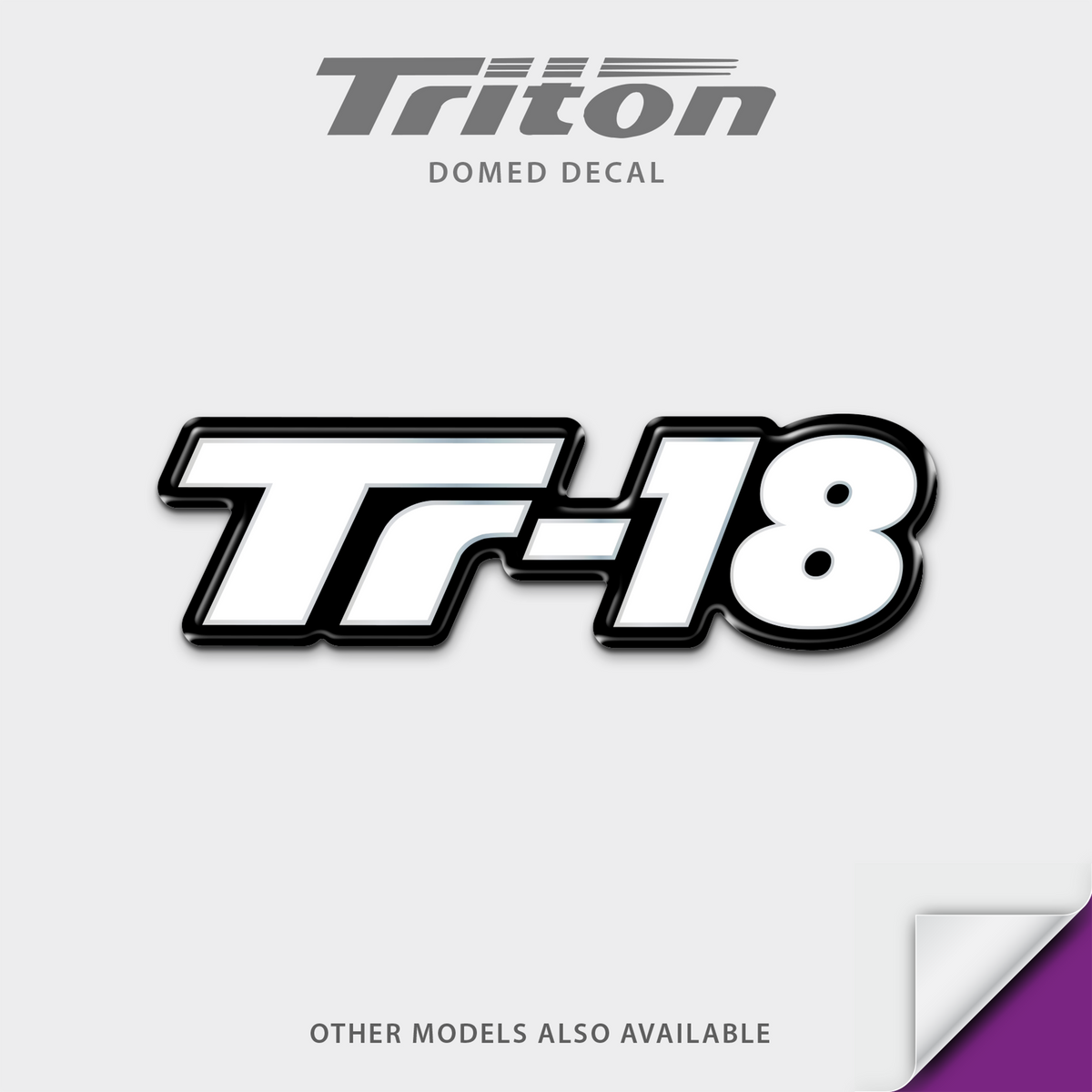 Triton Boat Model Domed Decal, any number
