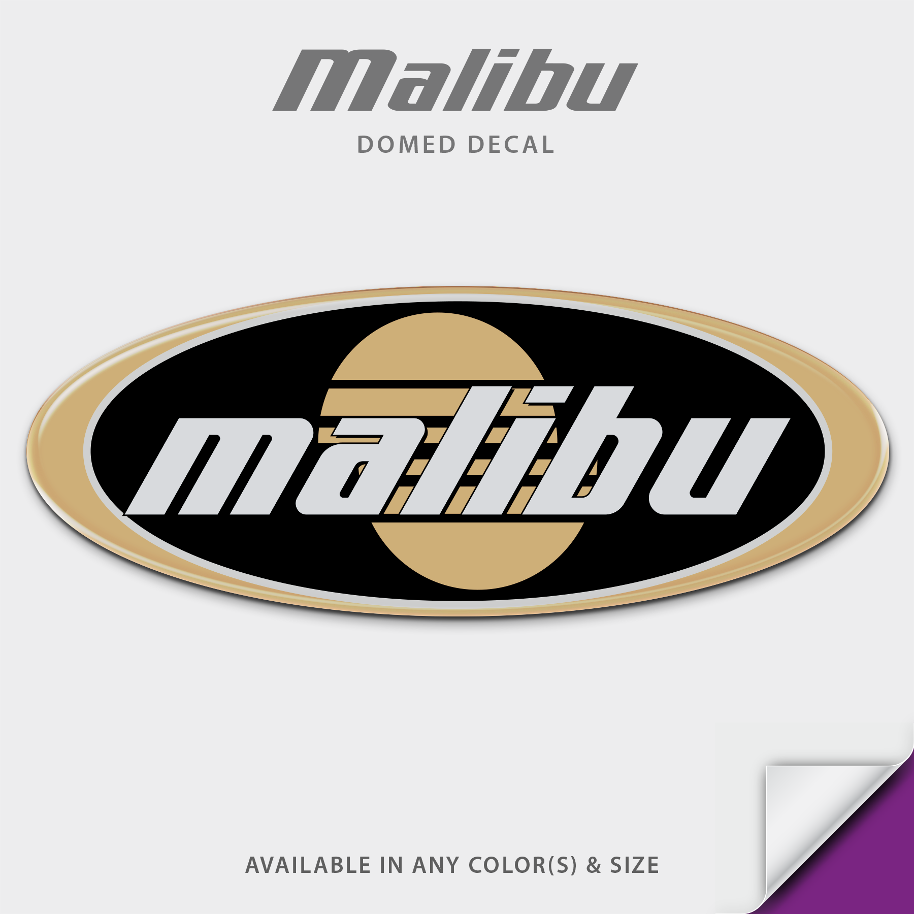 2002-2003 Malibu Dashboard Domed Boat Decal
