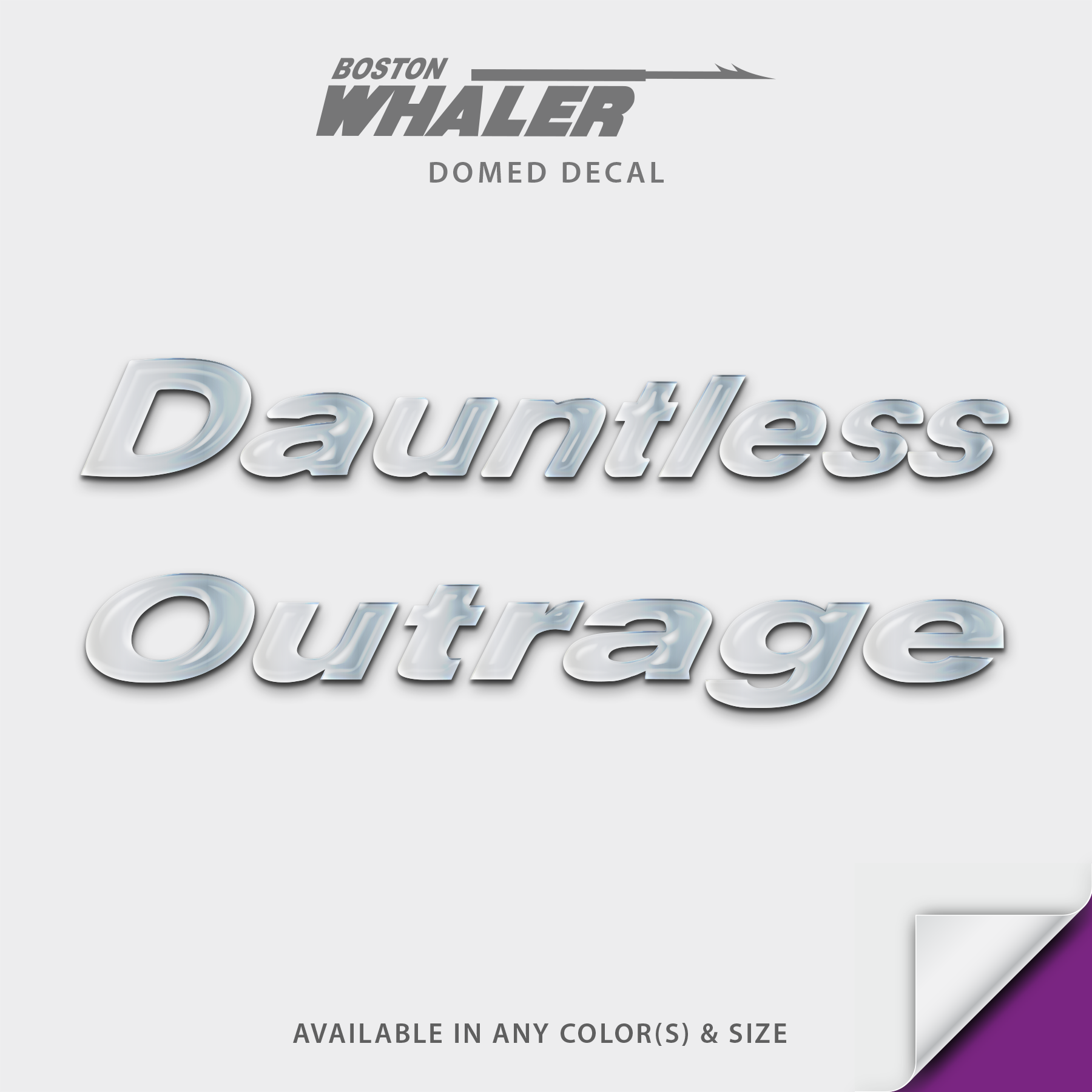 Boston Whaler Model Name Domed Boat Decal