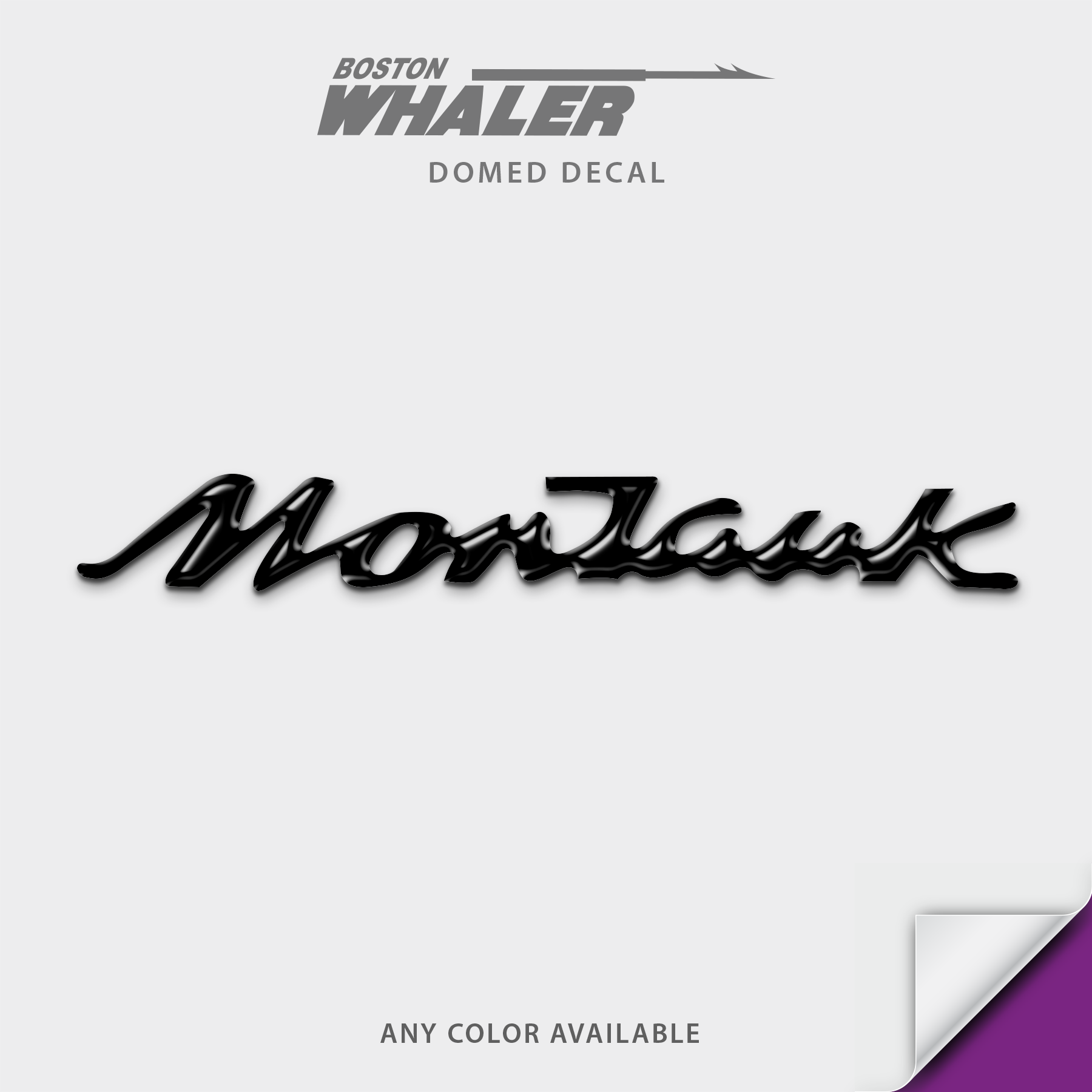 Boston Whaler Model Name Domed Boat Decal