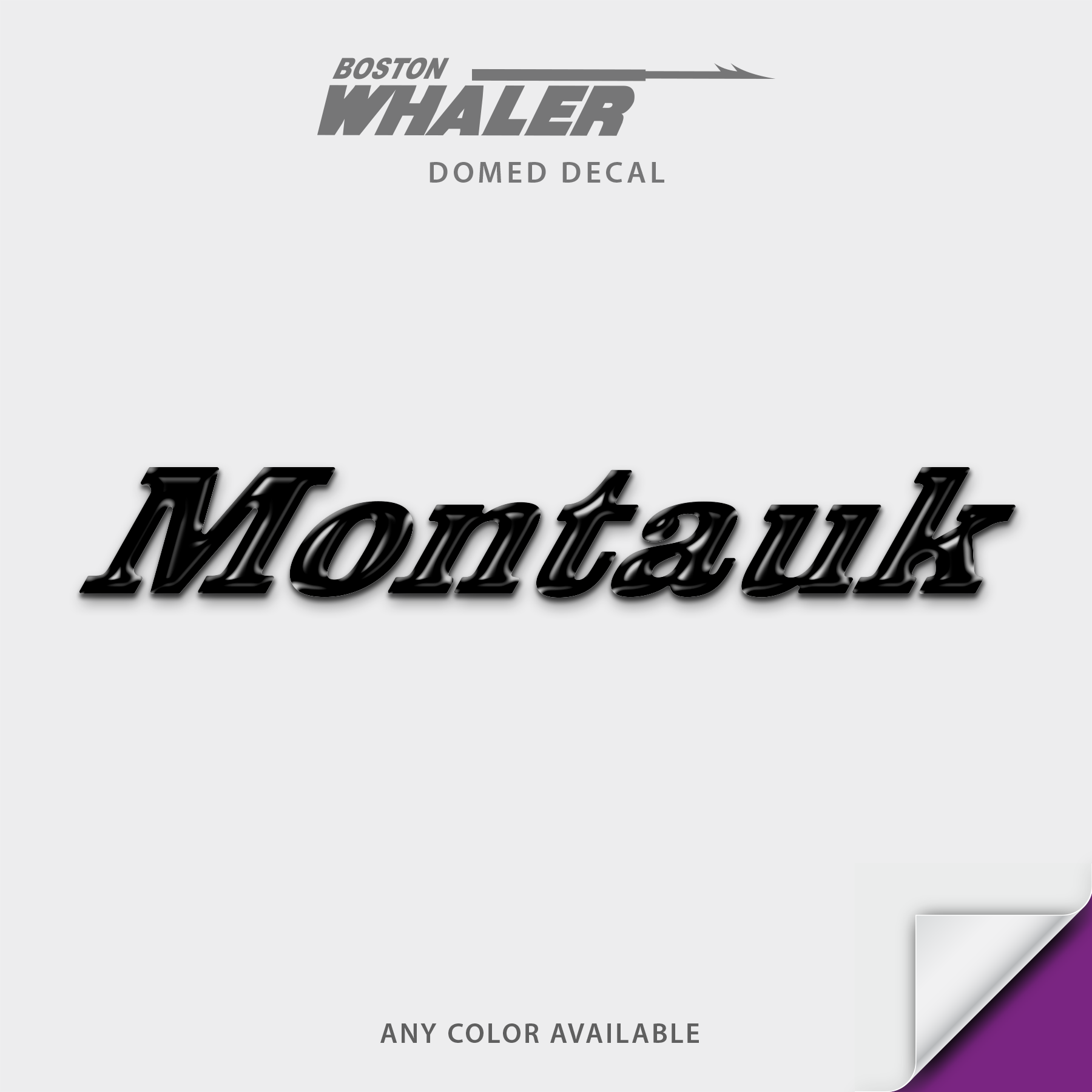 Boston Whaler Model Name Domed Boat Decal