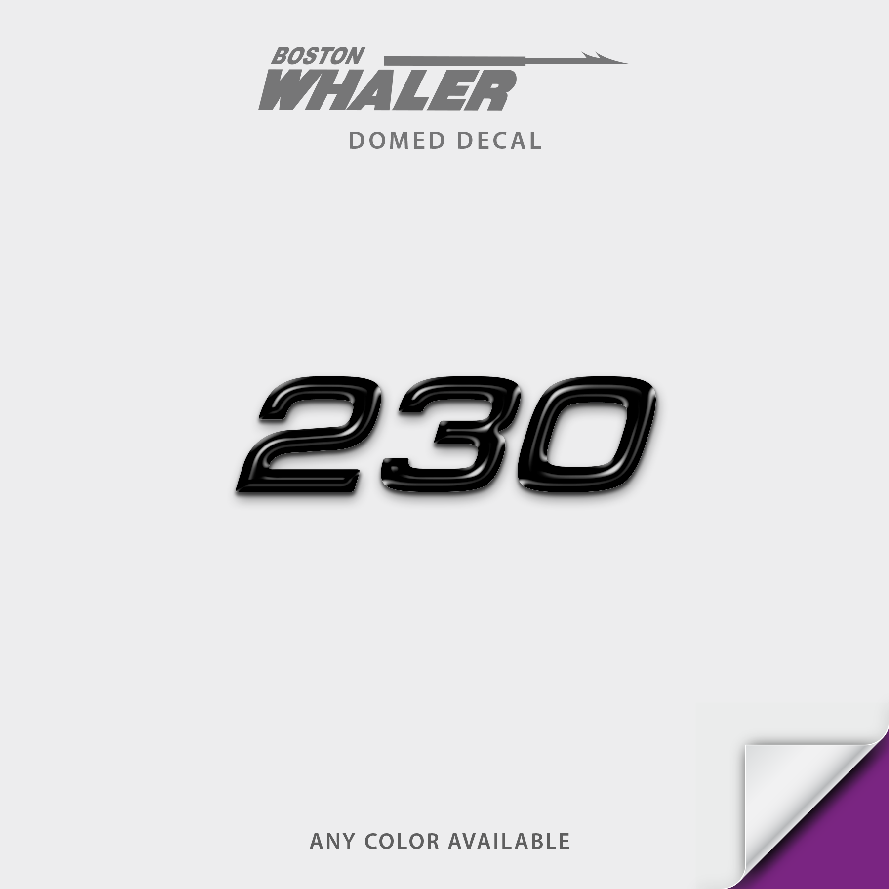 Boston Whaler Model Number Domed Boat Decal