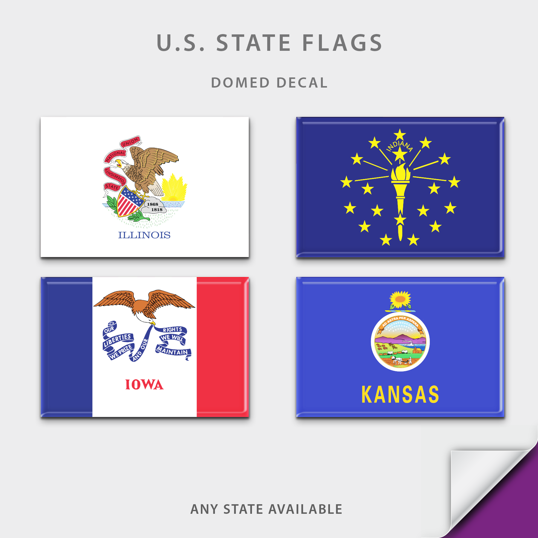US State Flag Domed Decal