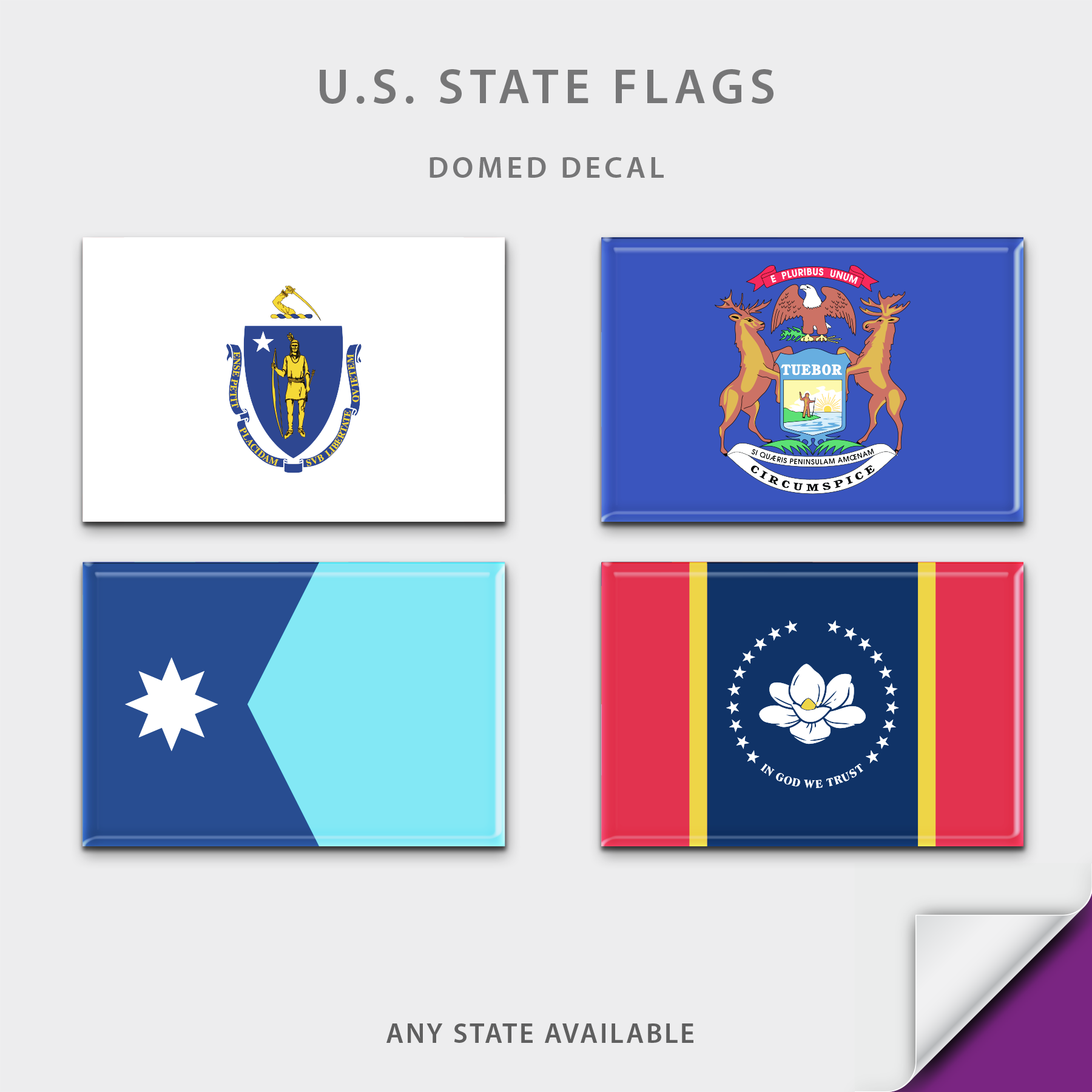 US State Flag Domed Decal