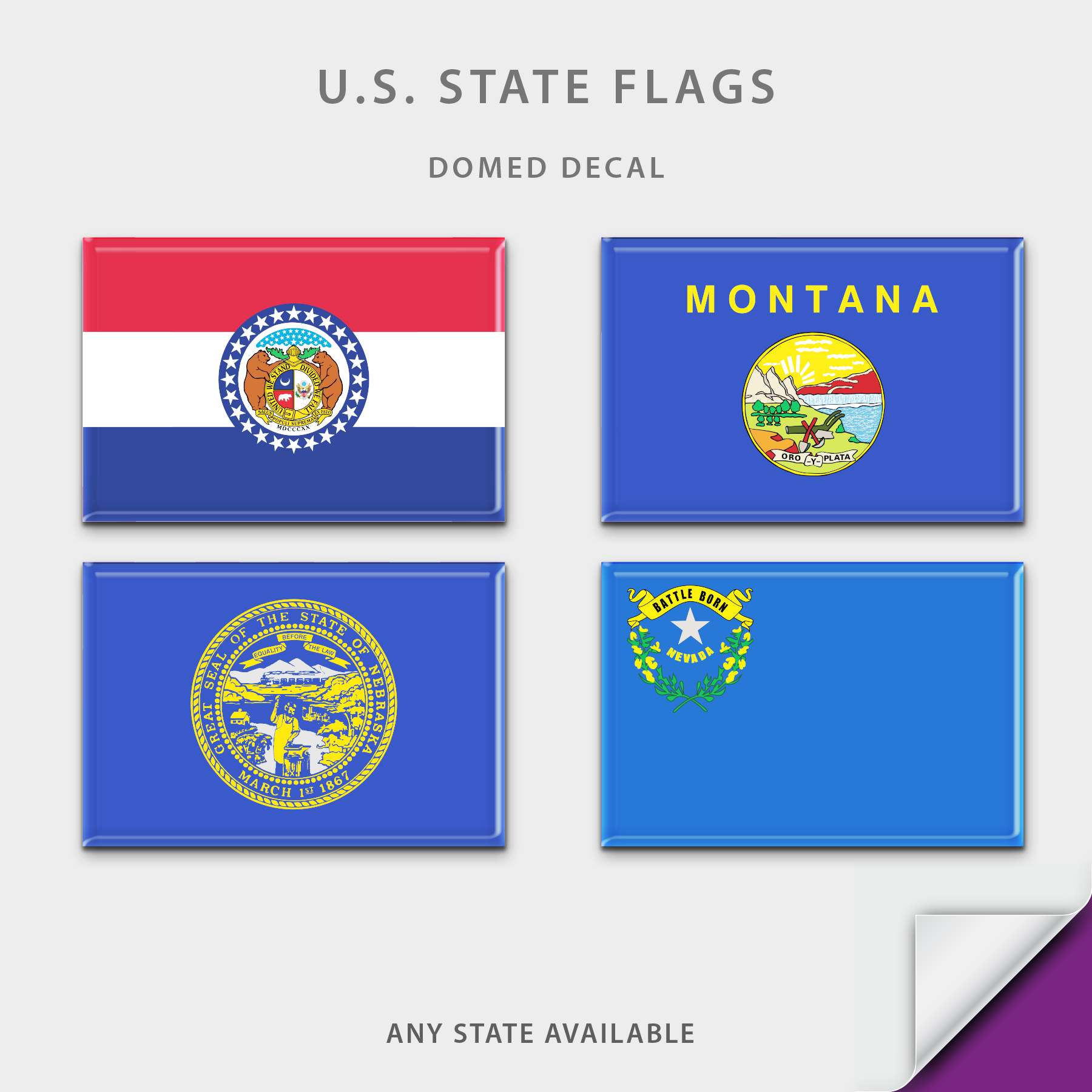 US State Flag Domed Decal