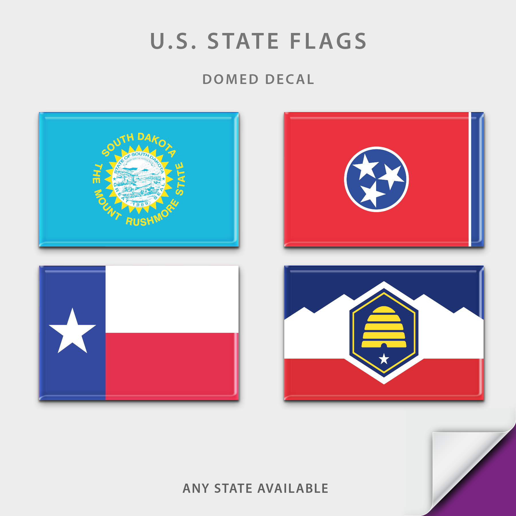 US State Flag Domed Decal