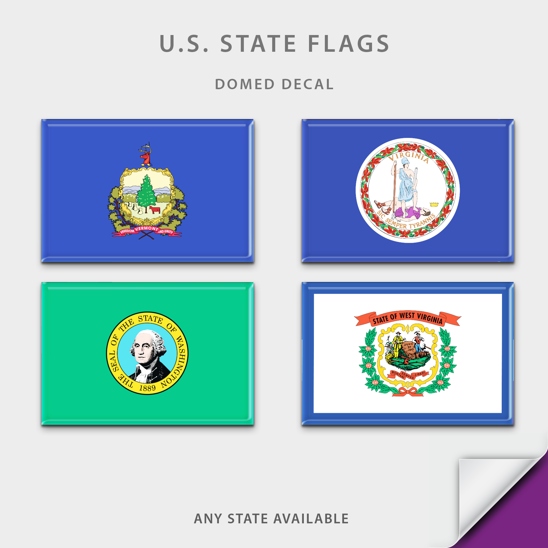 US State Flag Domed Decal