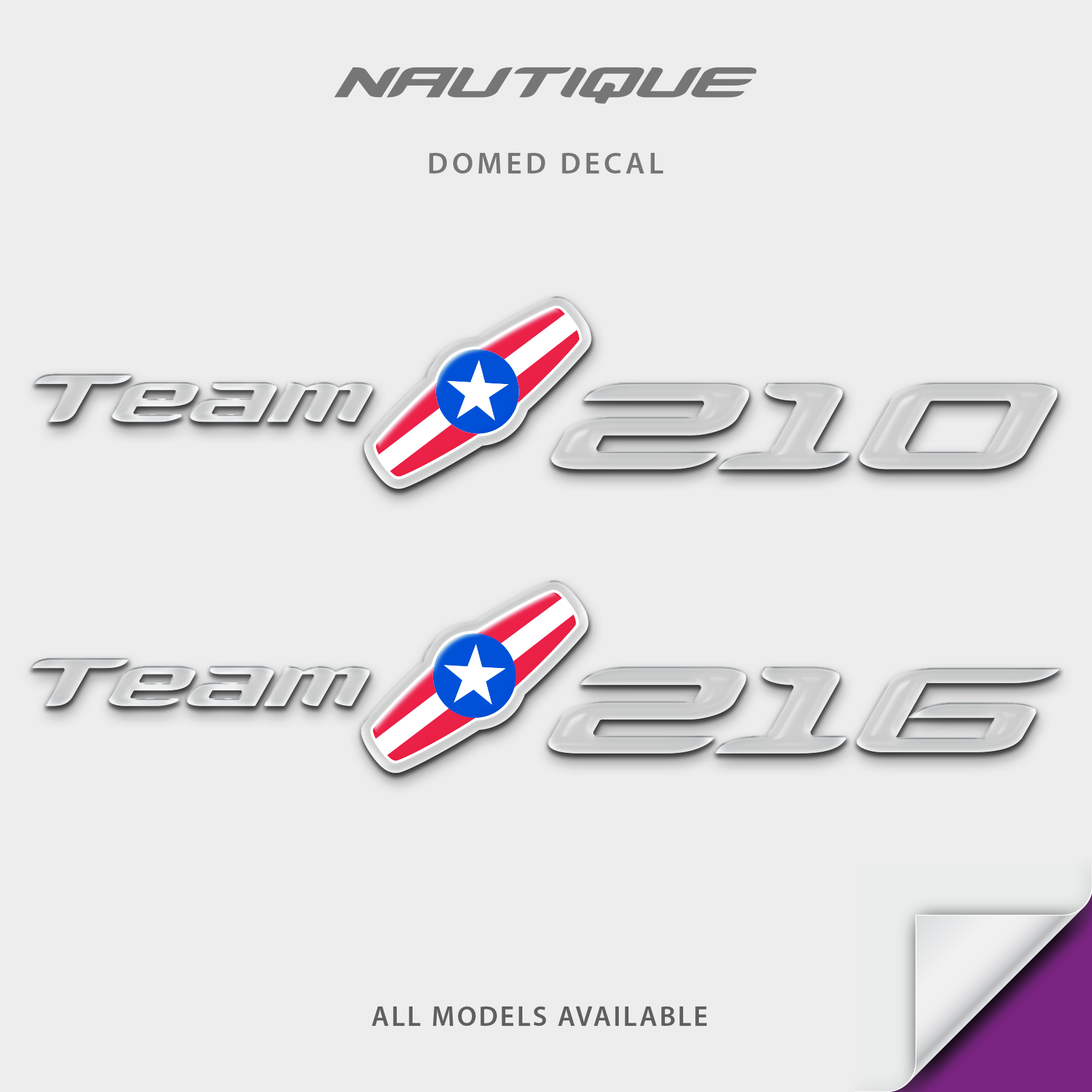 2008-2009 Nautique Team Domed Boat Decal