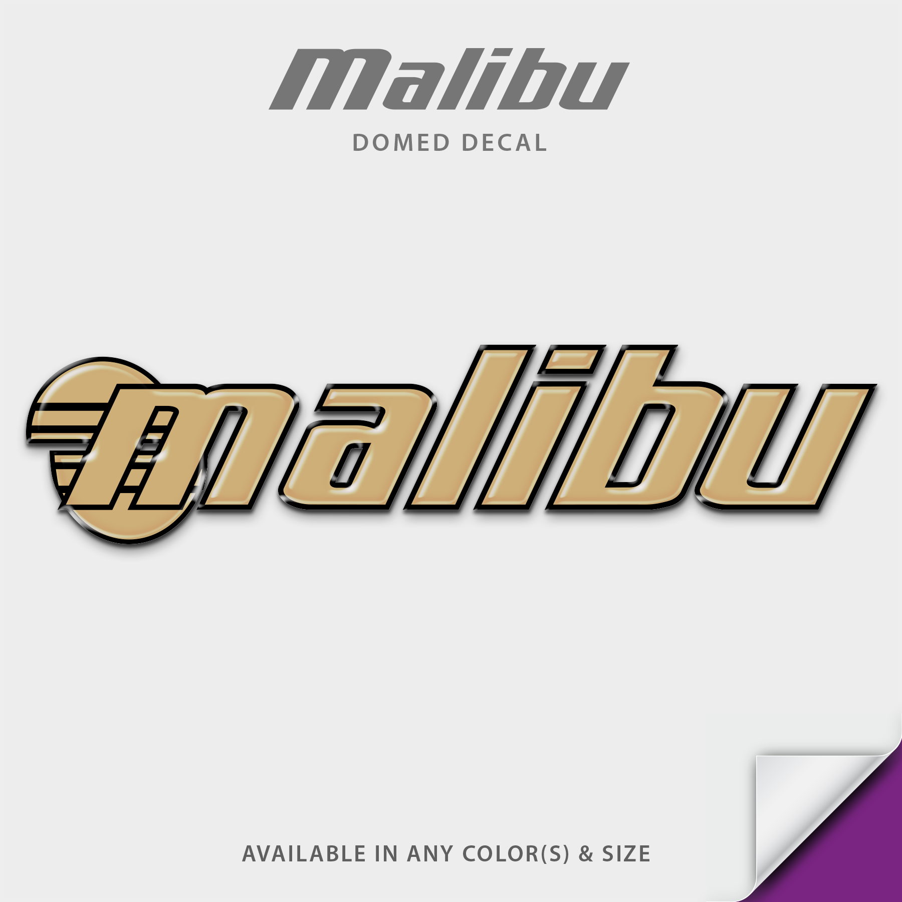 2001 Malibu 23 LSV Domed Boat Decal