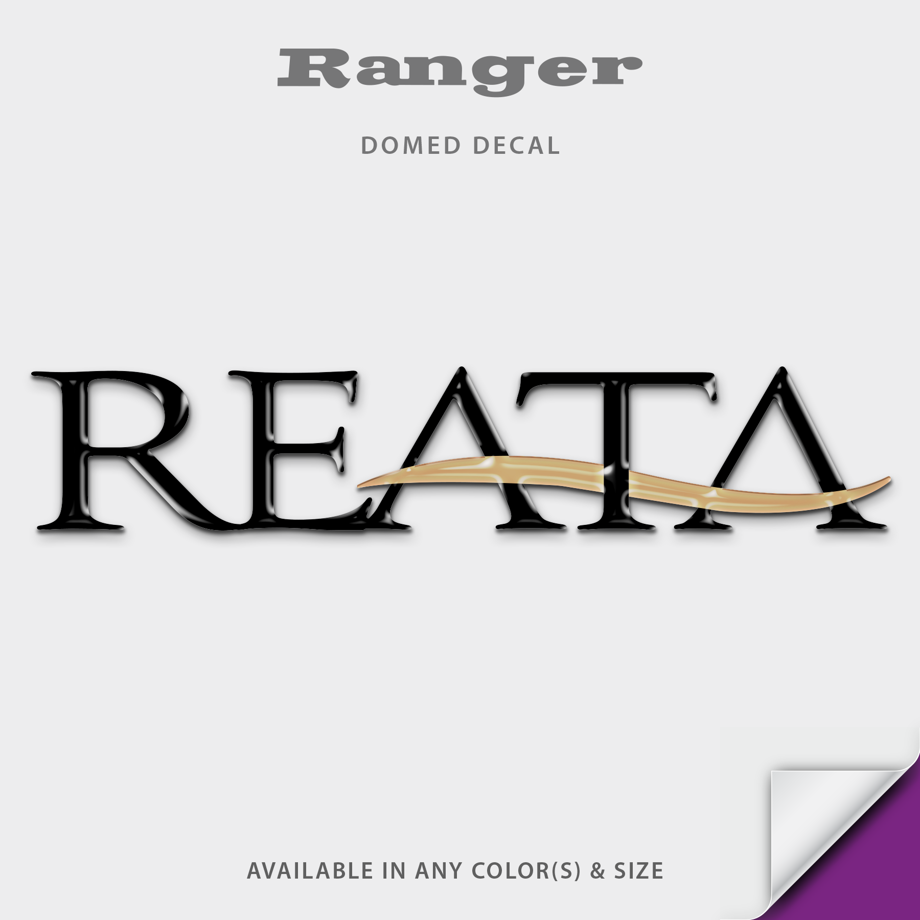 2004 Ranger Reata Domed Boat Decal