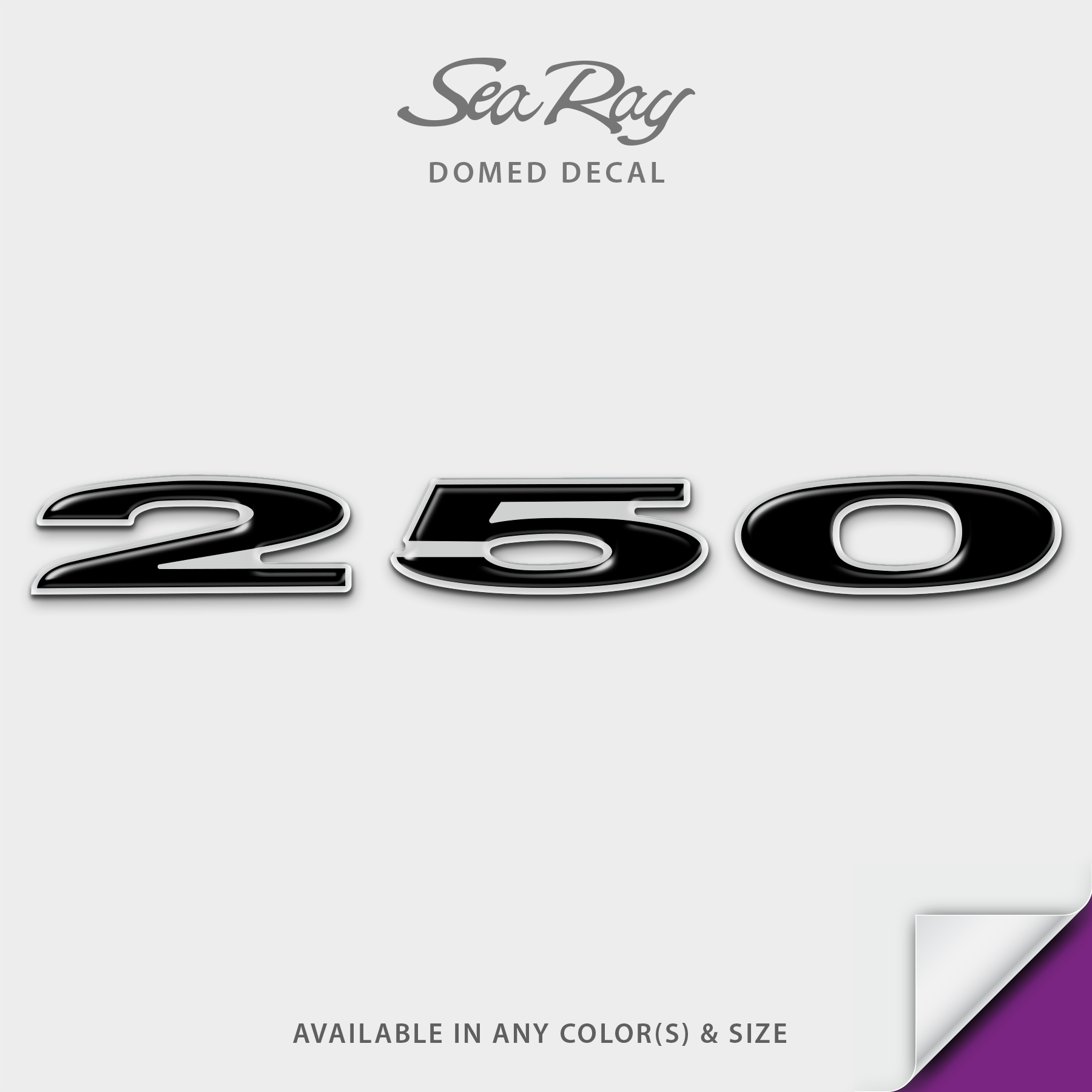 2006 Sea Ray 250 SLX Model Domed Boat Decal