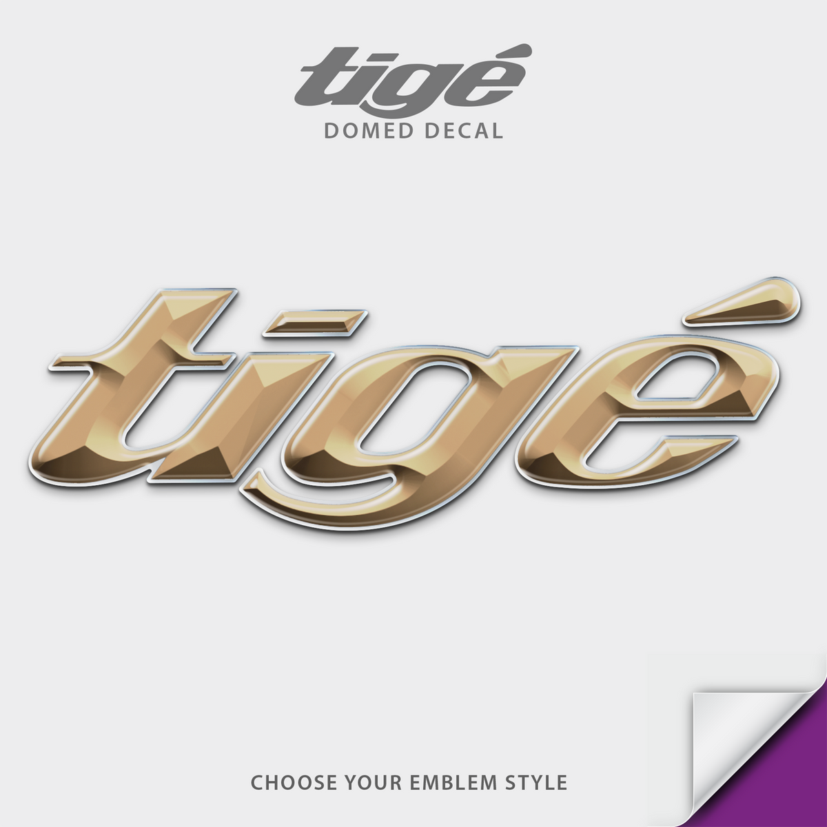 2016-2026 Tige Domed Boat Decal, Emblem Matched Colors