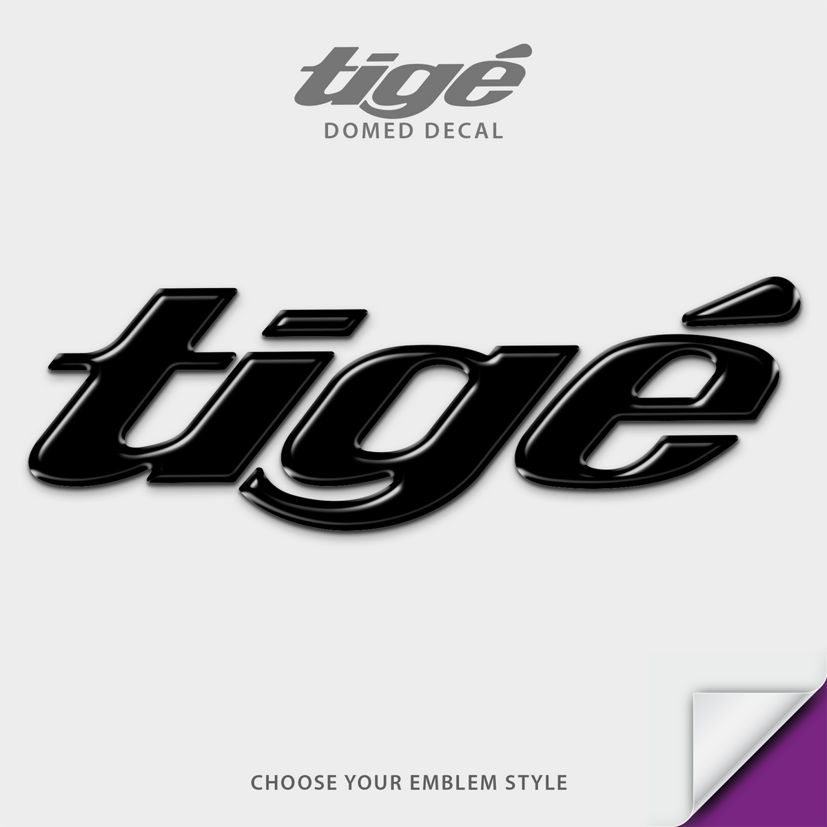 2016-2026 Tige Domed Boat Decal, Emblem Matched Colors