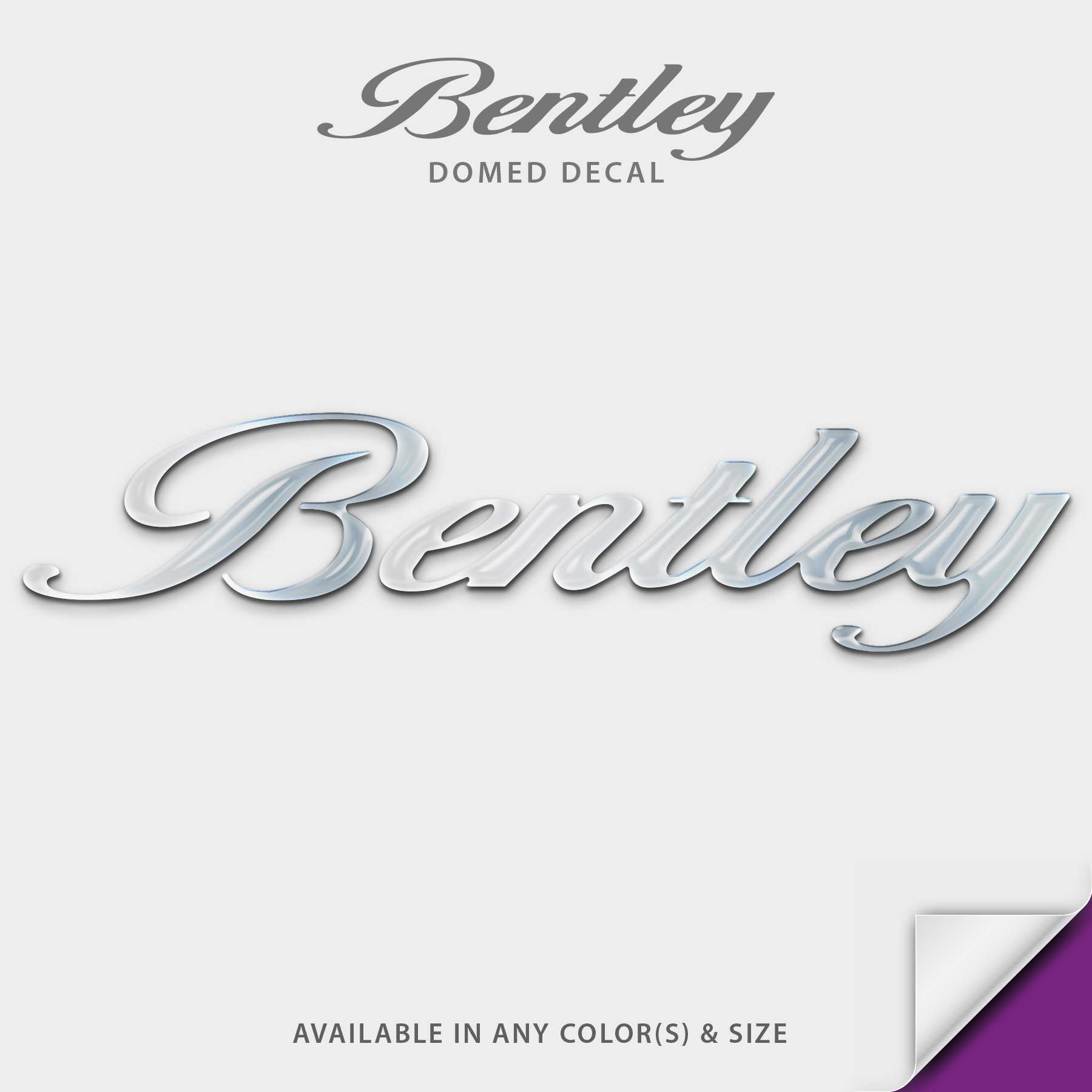 Bentley Pontoon Domed Boat Decal