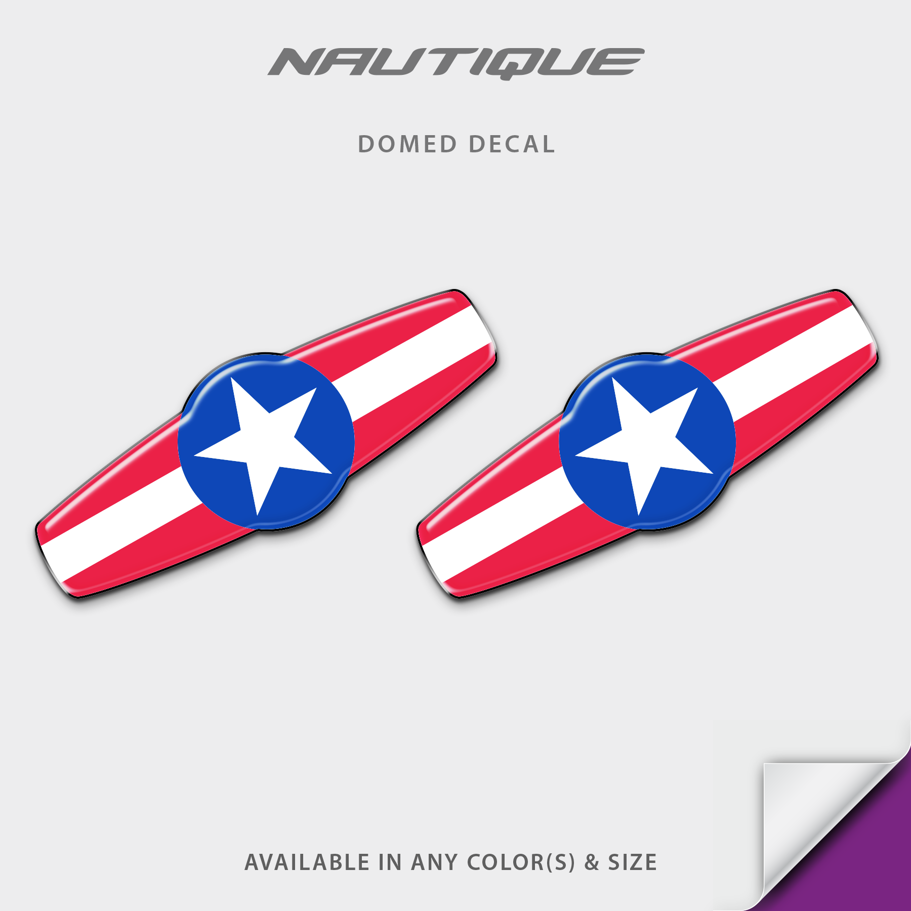 2000-2005 Nautique "WakeBoard" Domed Boat Decal