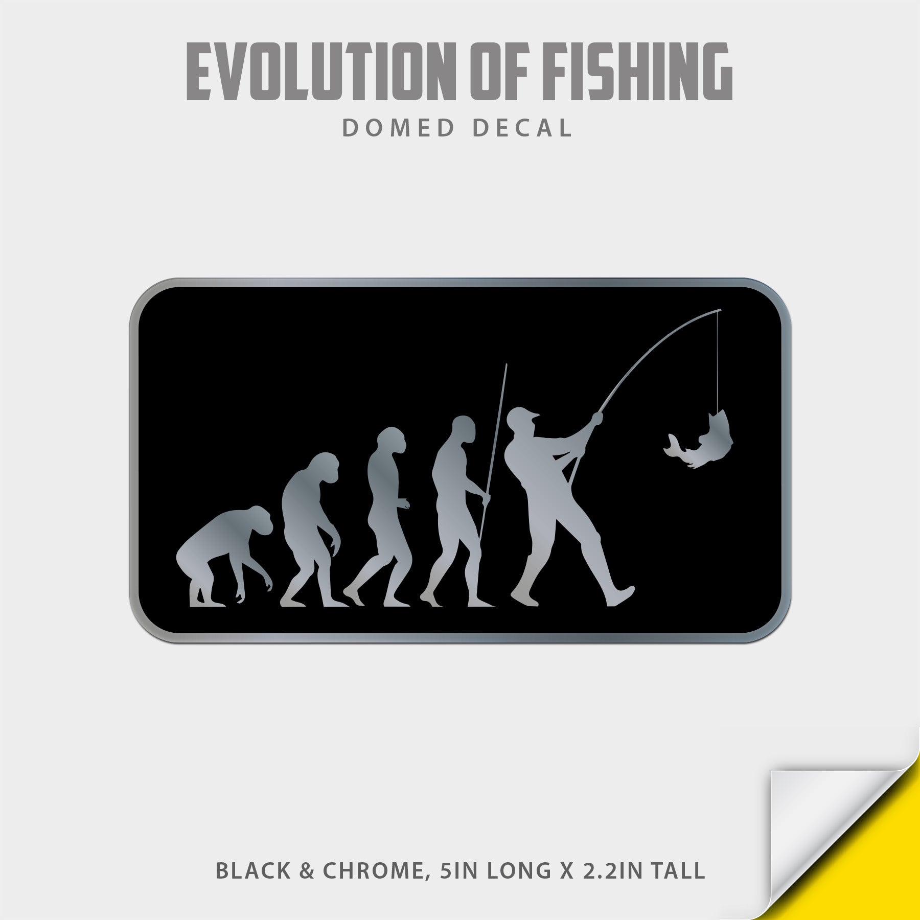 Evolution of Fishing Domed Decal