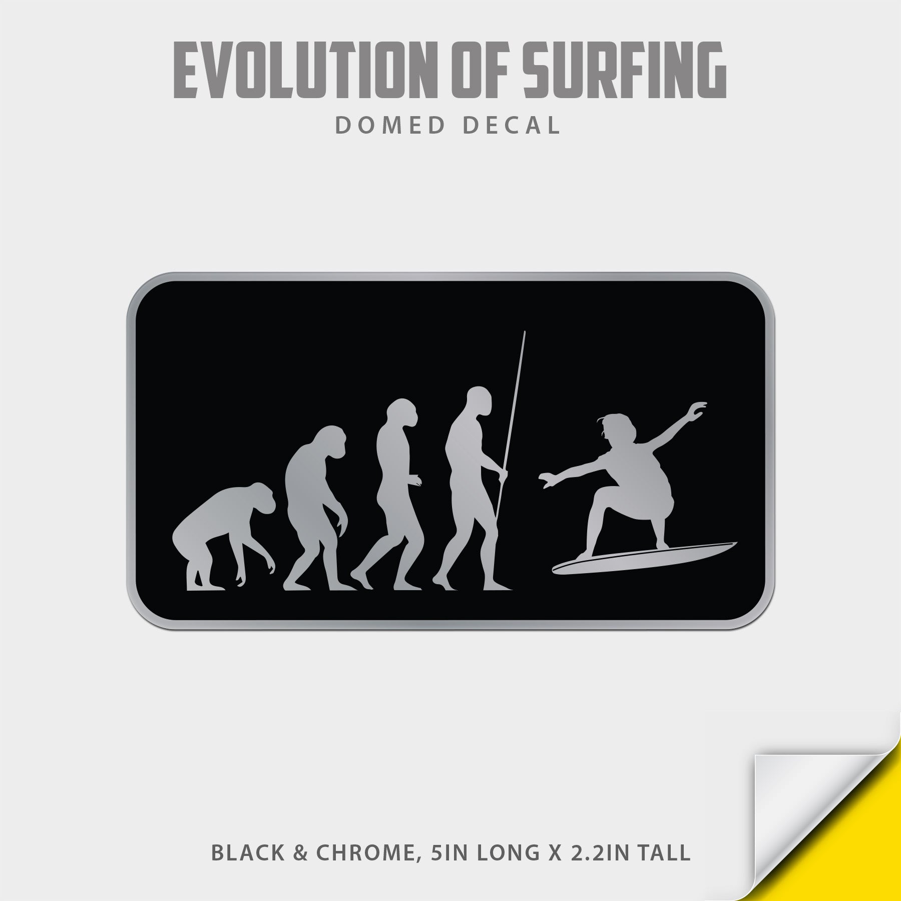 Evolution of Surfing Domed Decal