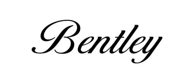 Bentley Pontoon Boats Domed Boat Letters and Name Decals