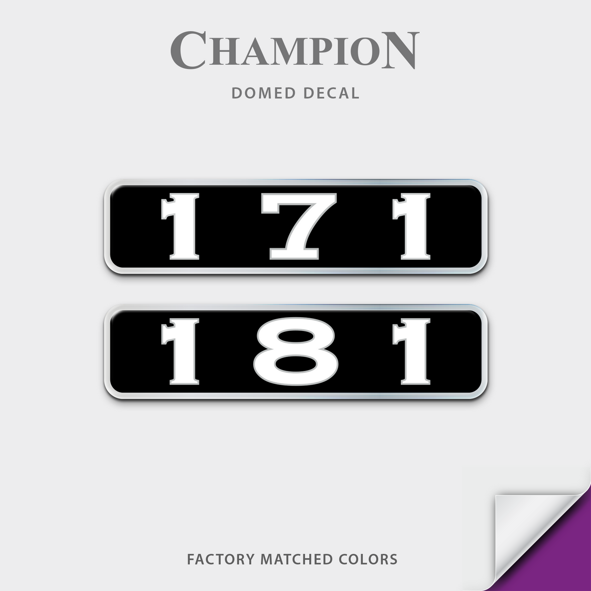 Champion Boat Model Domed Decal, any number