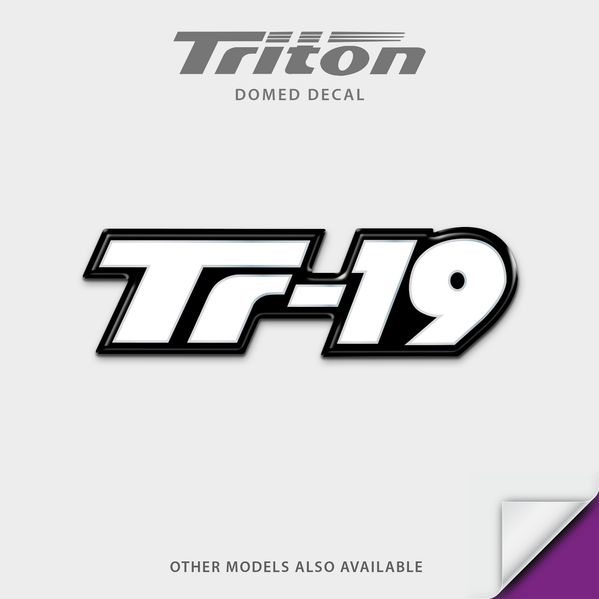 Triton Boat Model Domed Decal, any number