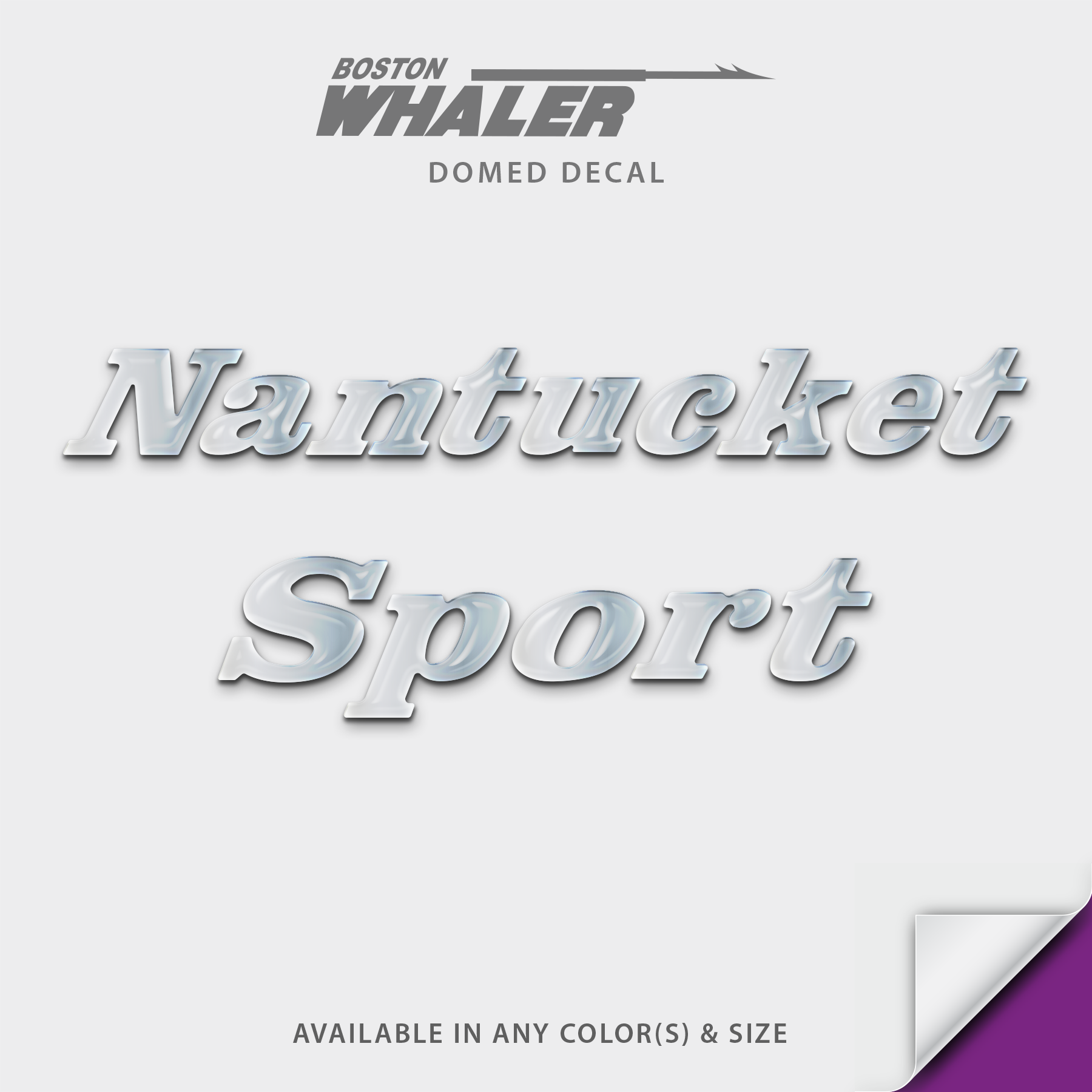 Boston Whaler Model Name Domed Boat Decal