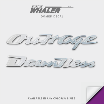 Boston Whaler Model Name Domed Boat Decal