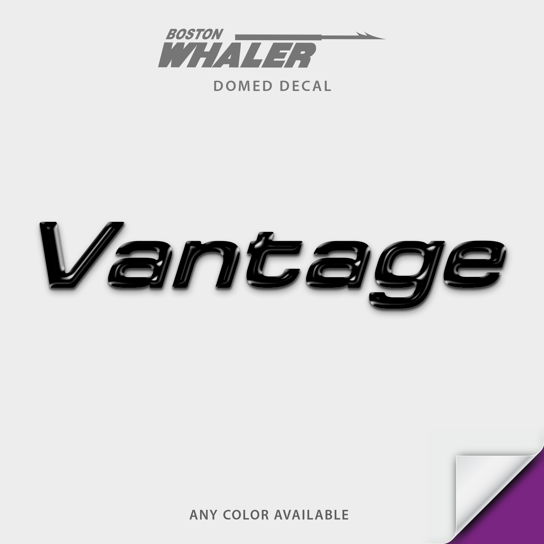 Boston Whaler Model Name Domed Boat Decal