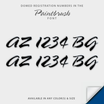Paintbrush Script Domed Registration