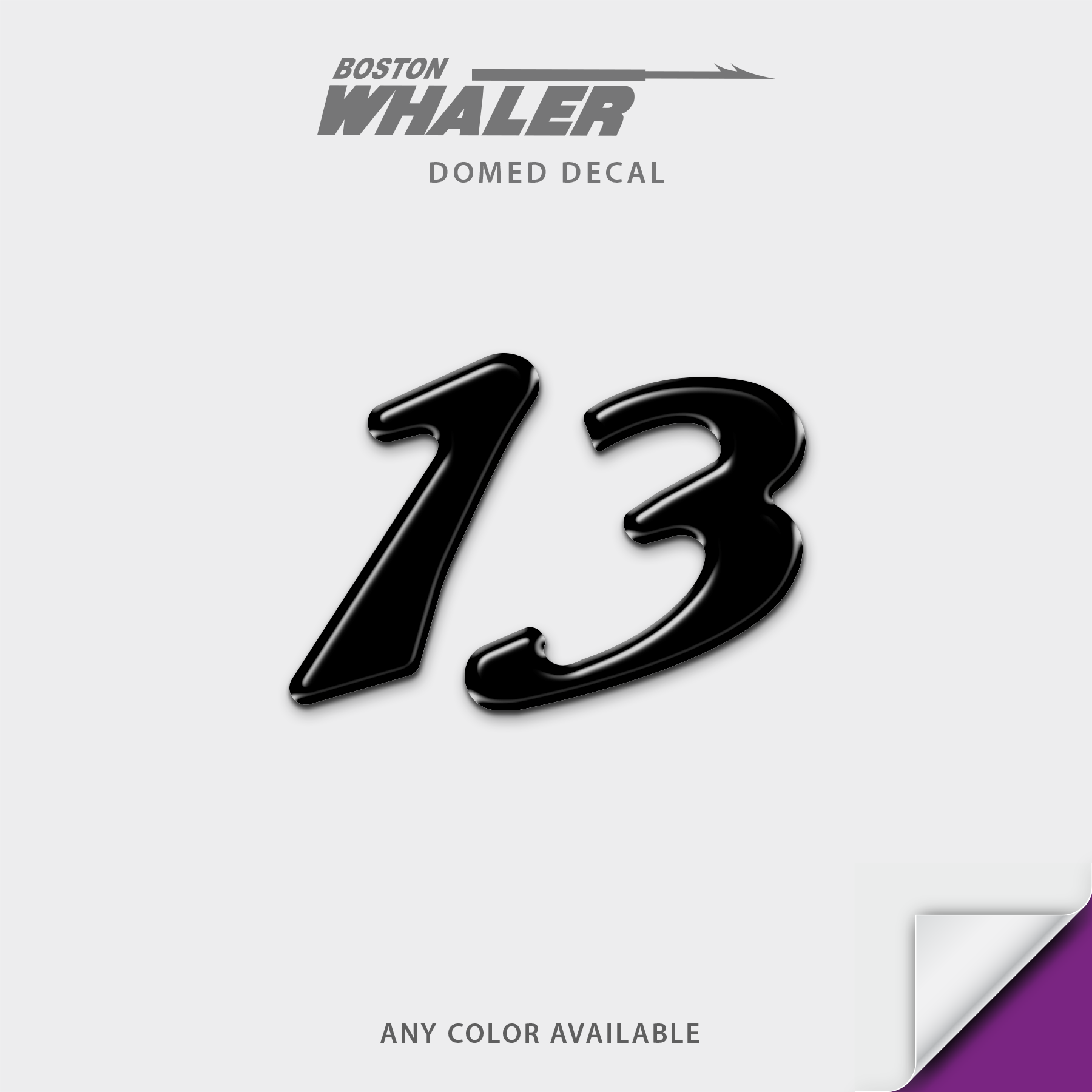 Boston Whaler Model Number Domed Boat Decal
