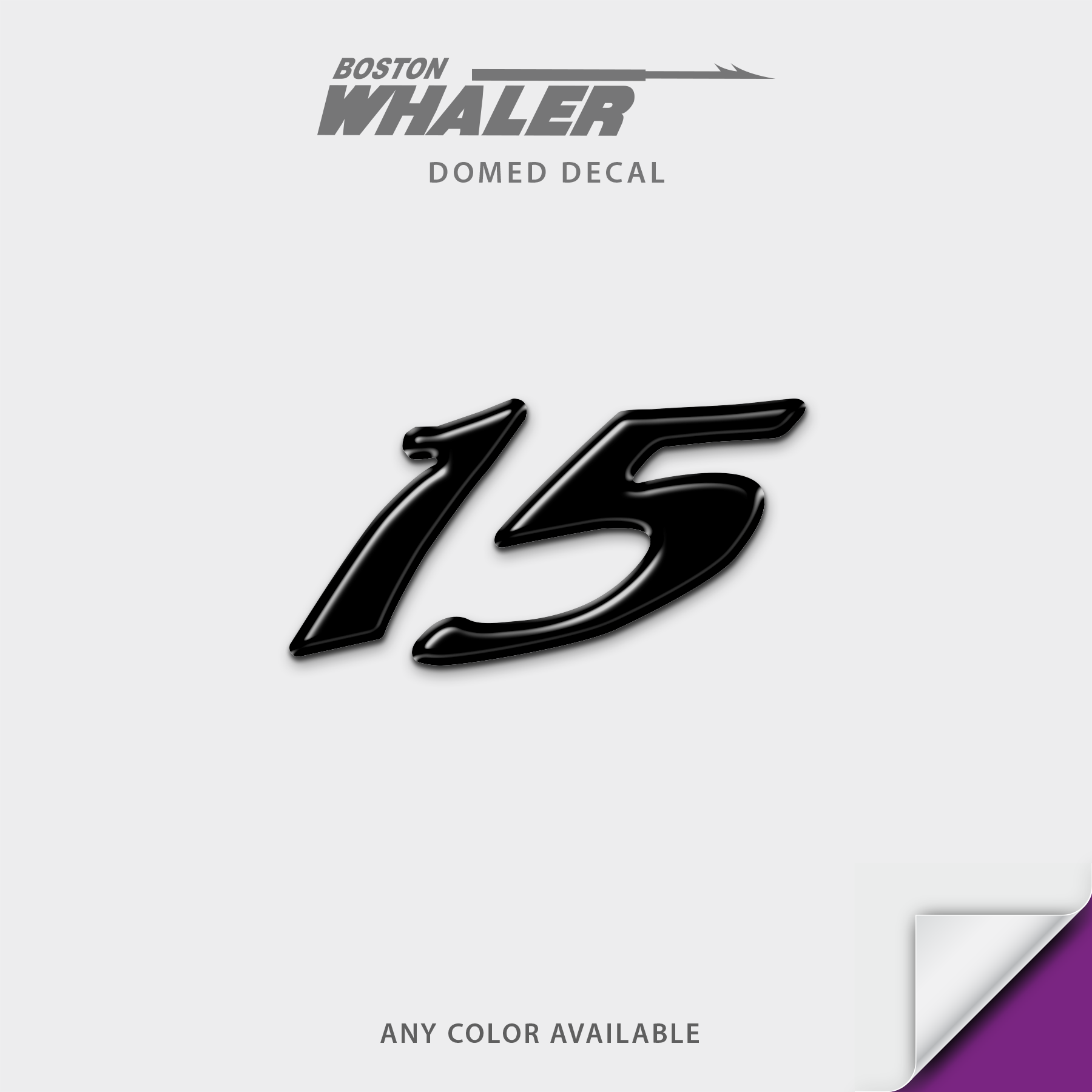 Boston Whaler Model Number Domed Boat Decal