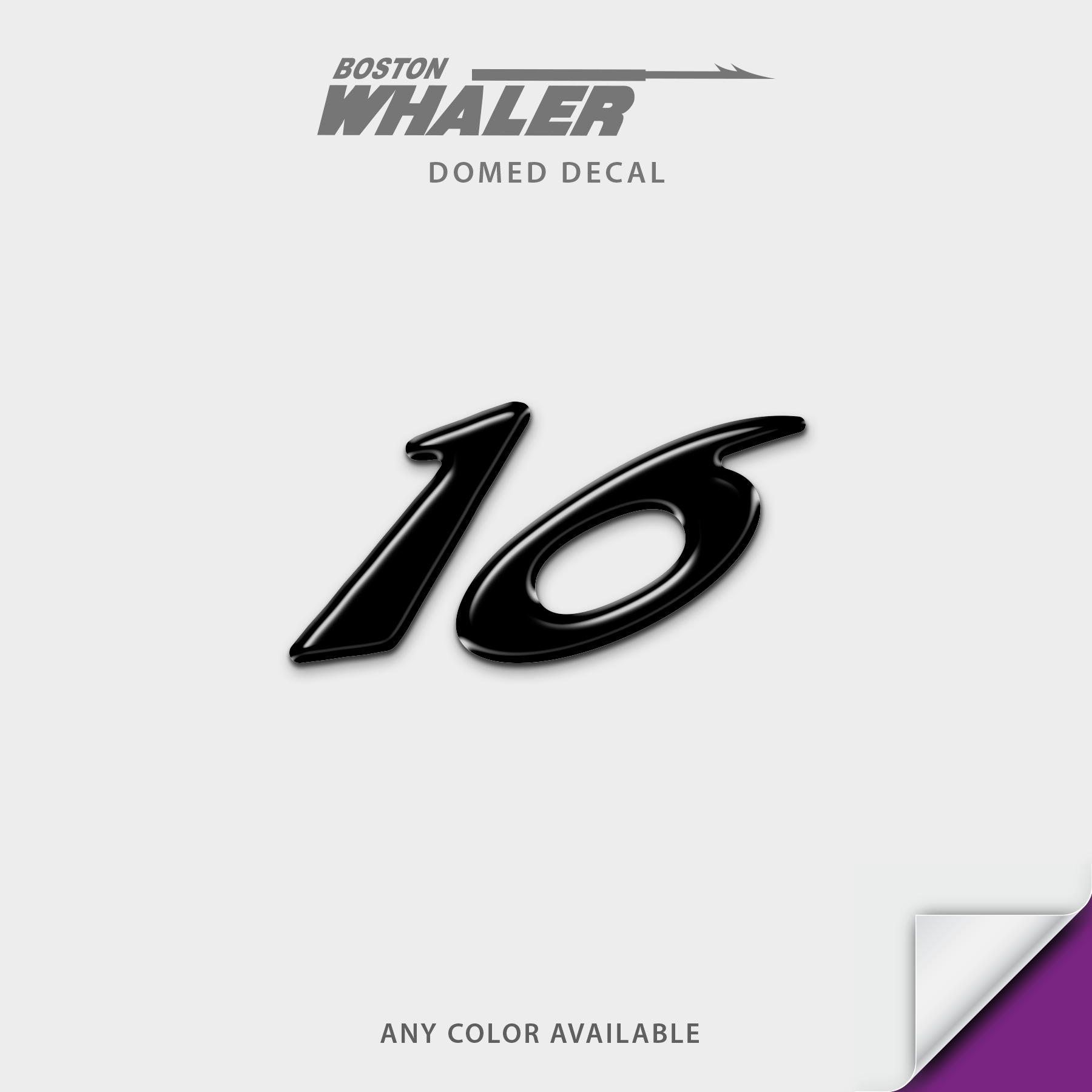 Boston Whaler Model Number Domed Boat Decal