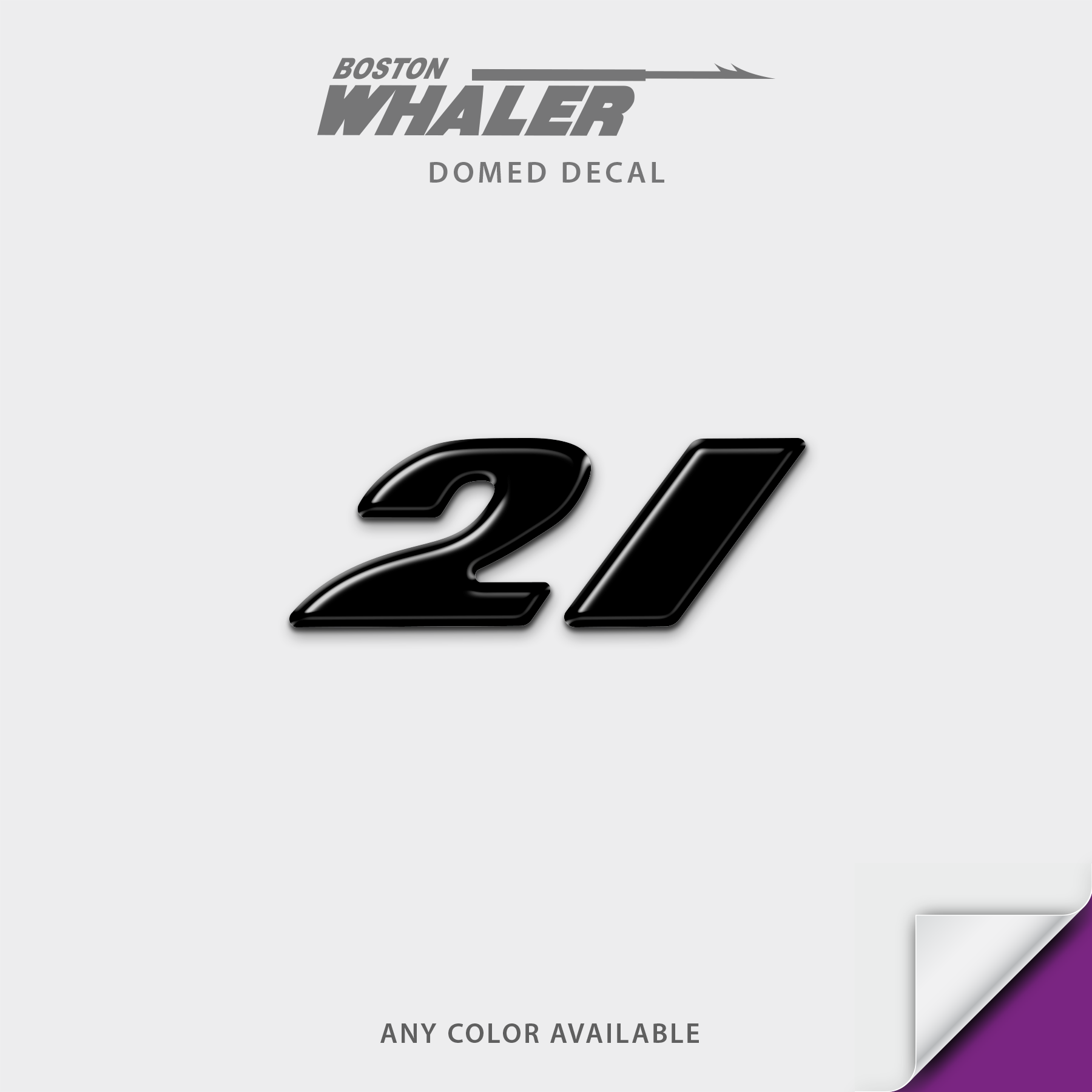 Boston Whaler Model Number Domed Boat Decal