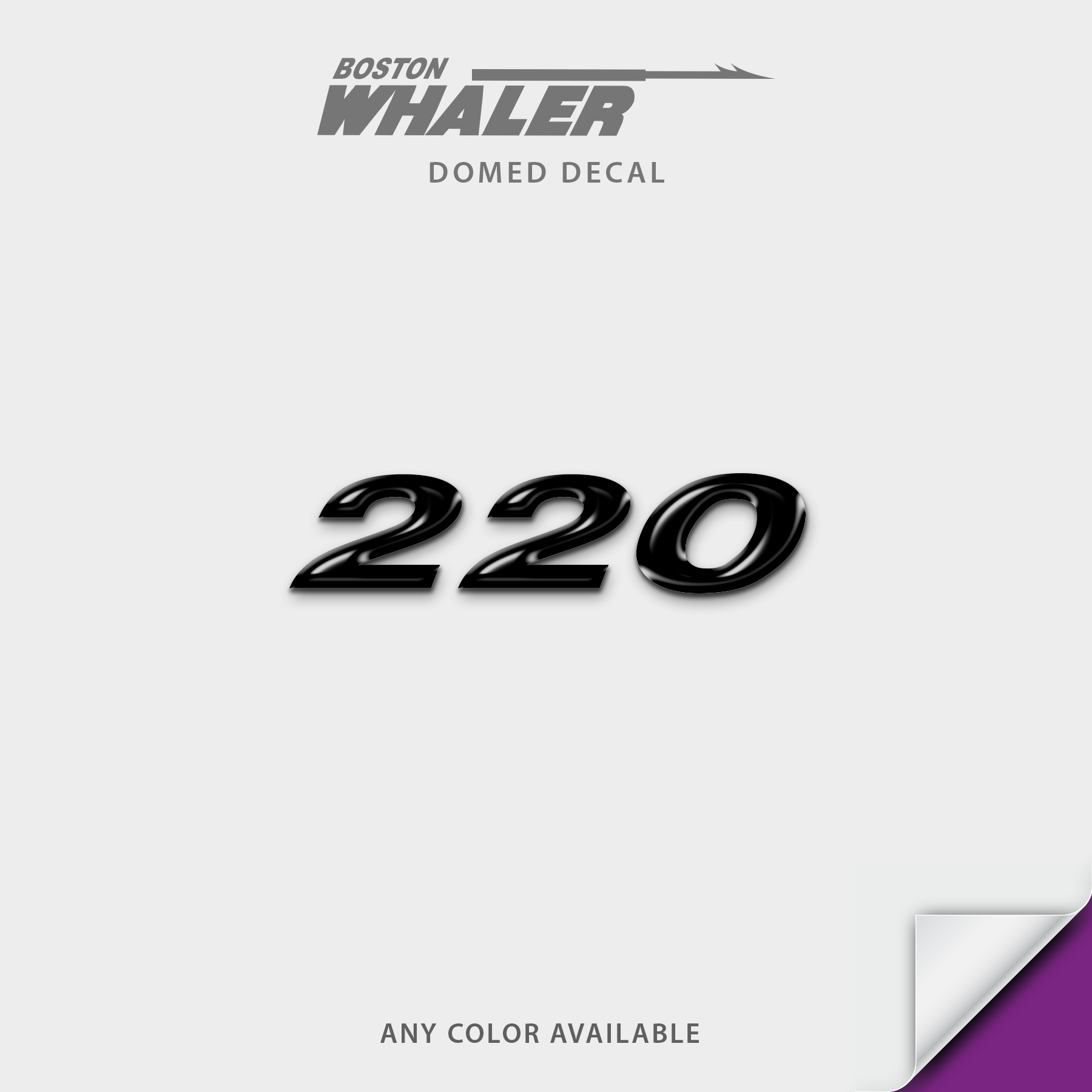 Boston Whaler Model Number Domed Boat Decal