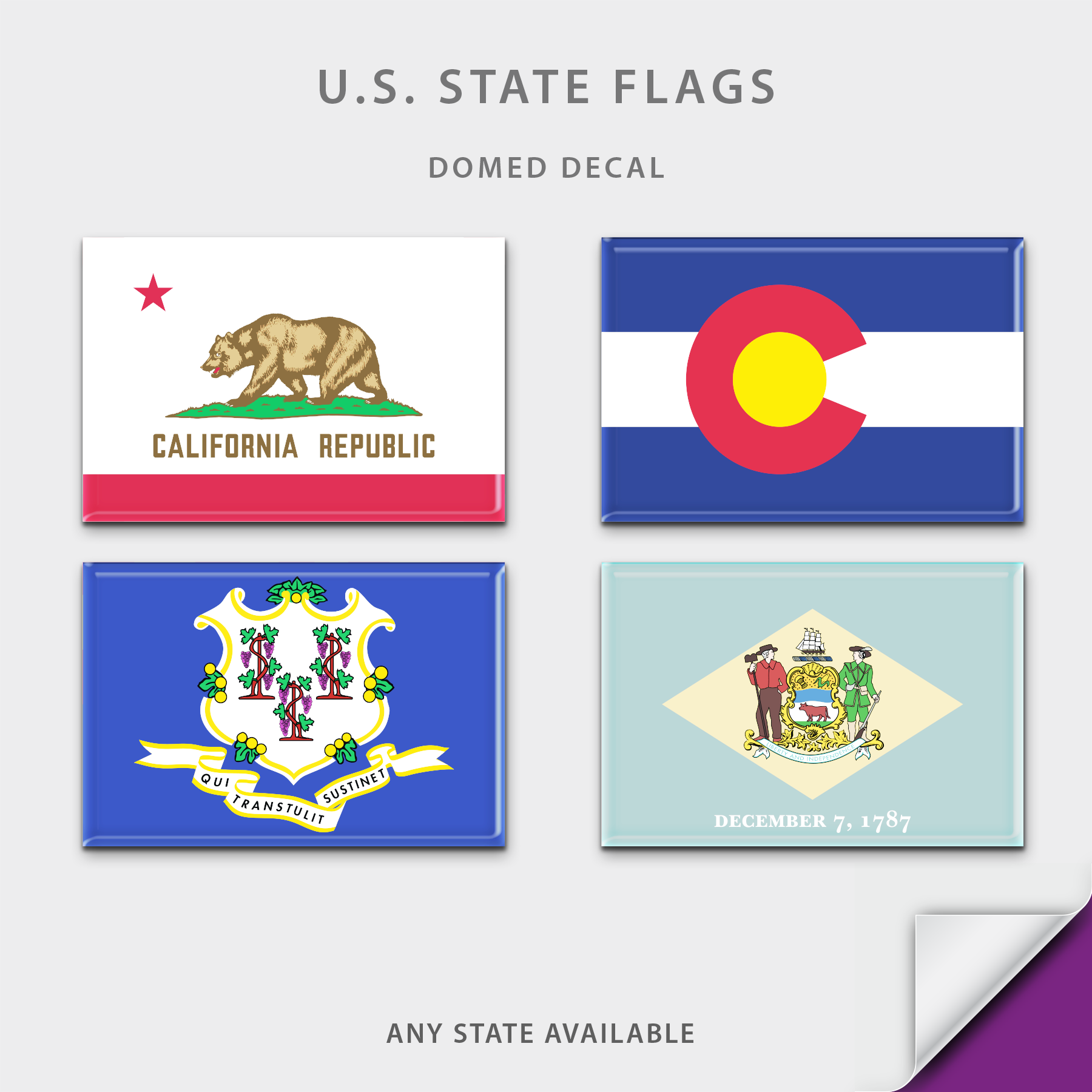 US State Flag Domed Decal