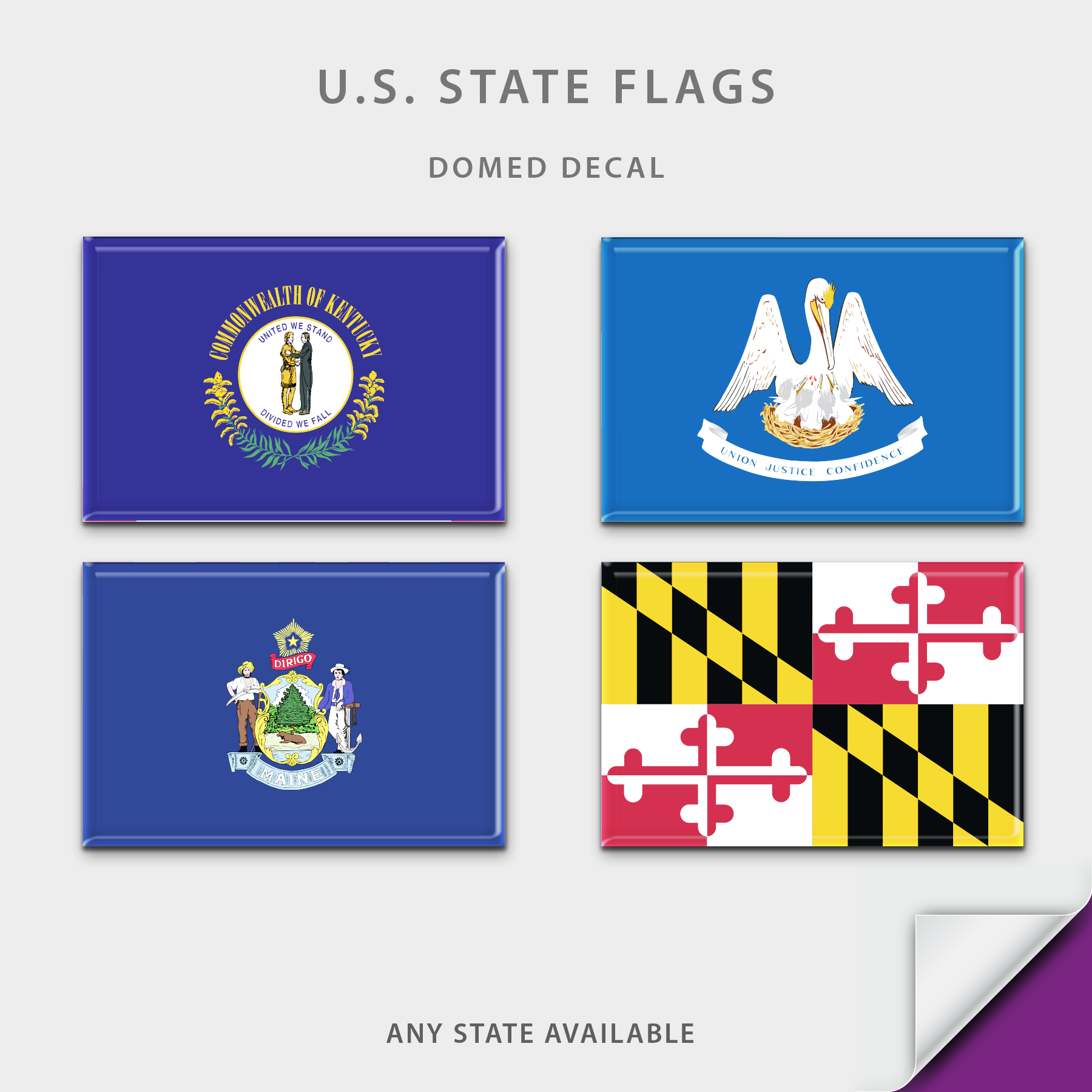 US State Flag Domed Decal