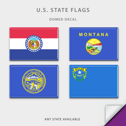 US State Flag Domed Decal