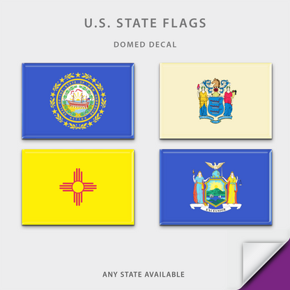 US State Flag Domed Decal