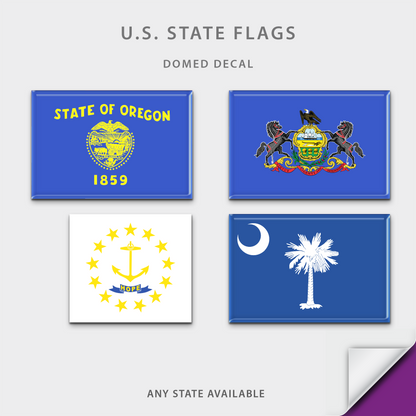 US State Flag Domed Decal