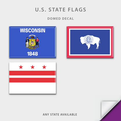 US State Flag Domed Decal