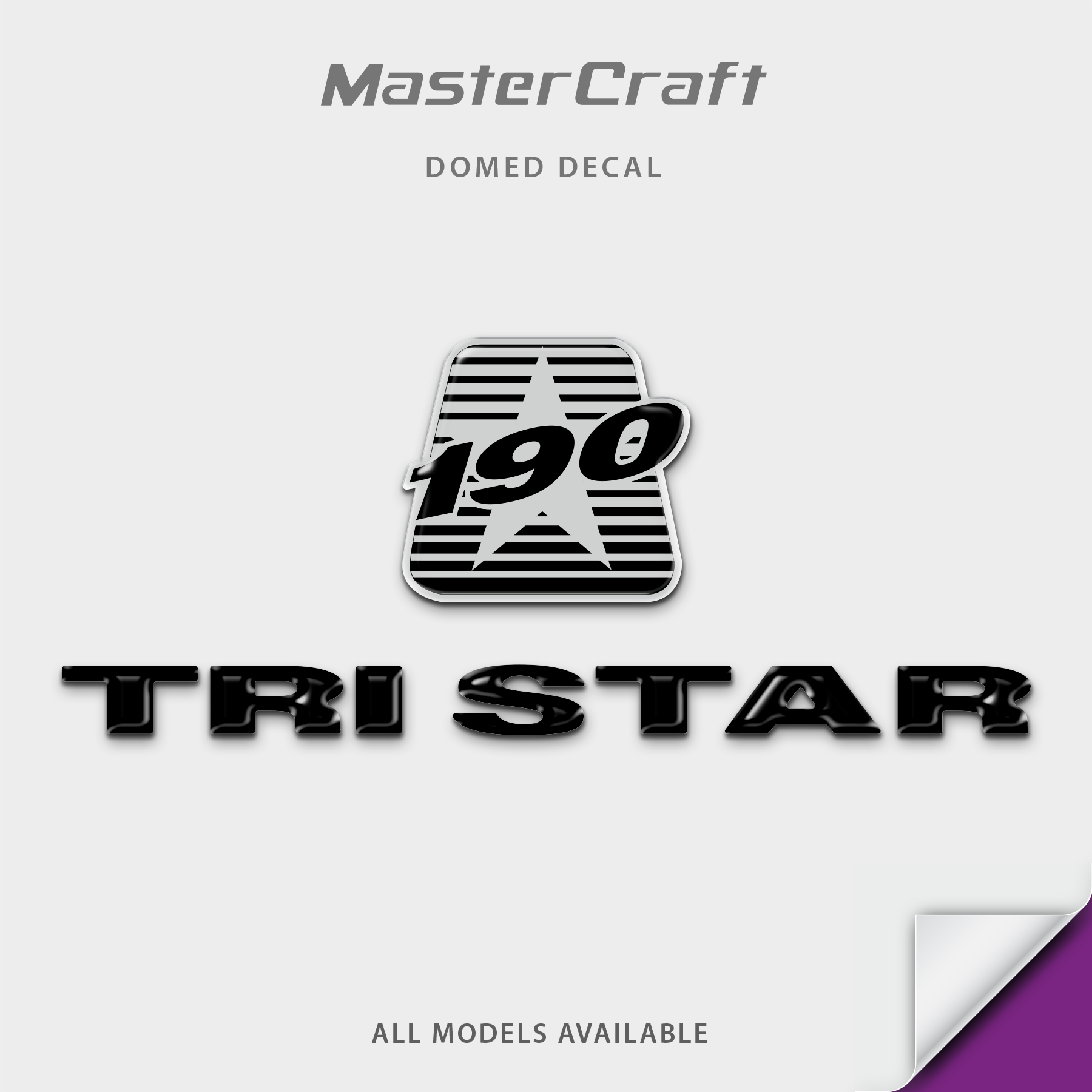 1990 MasterCraft TriStar 190 Domed Boat Decal