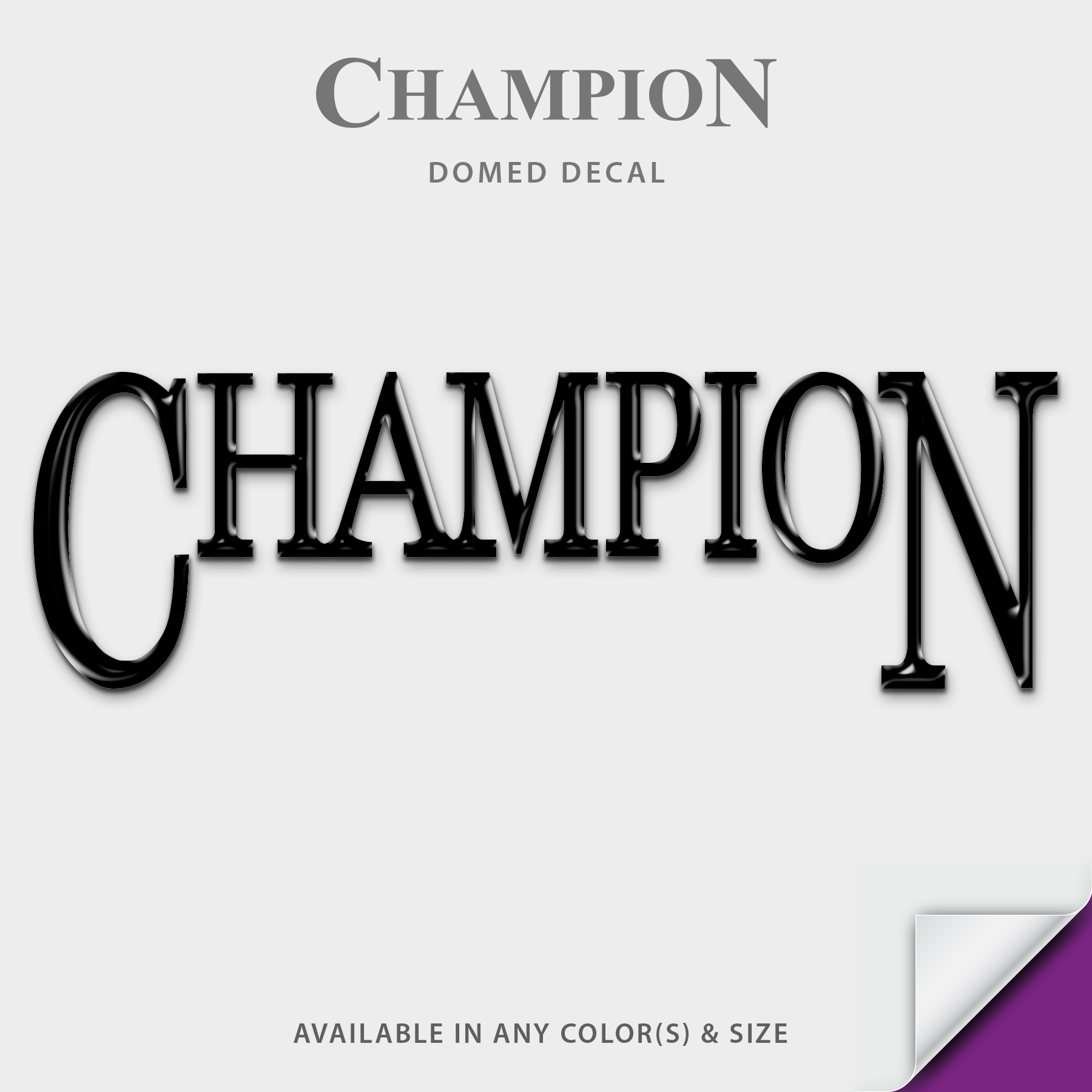 Champion Boats Fish Hunter Domed Boat Decal