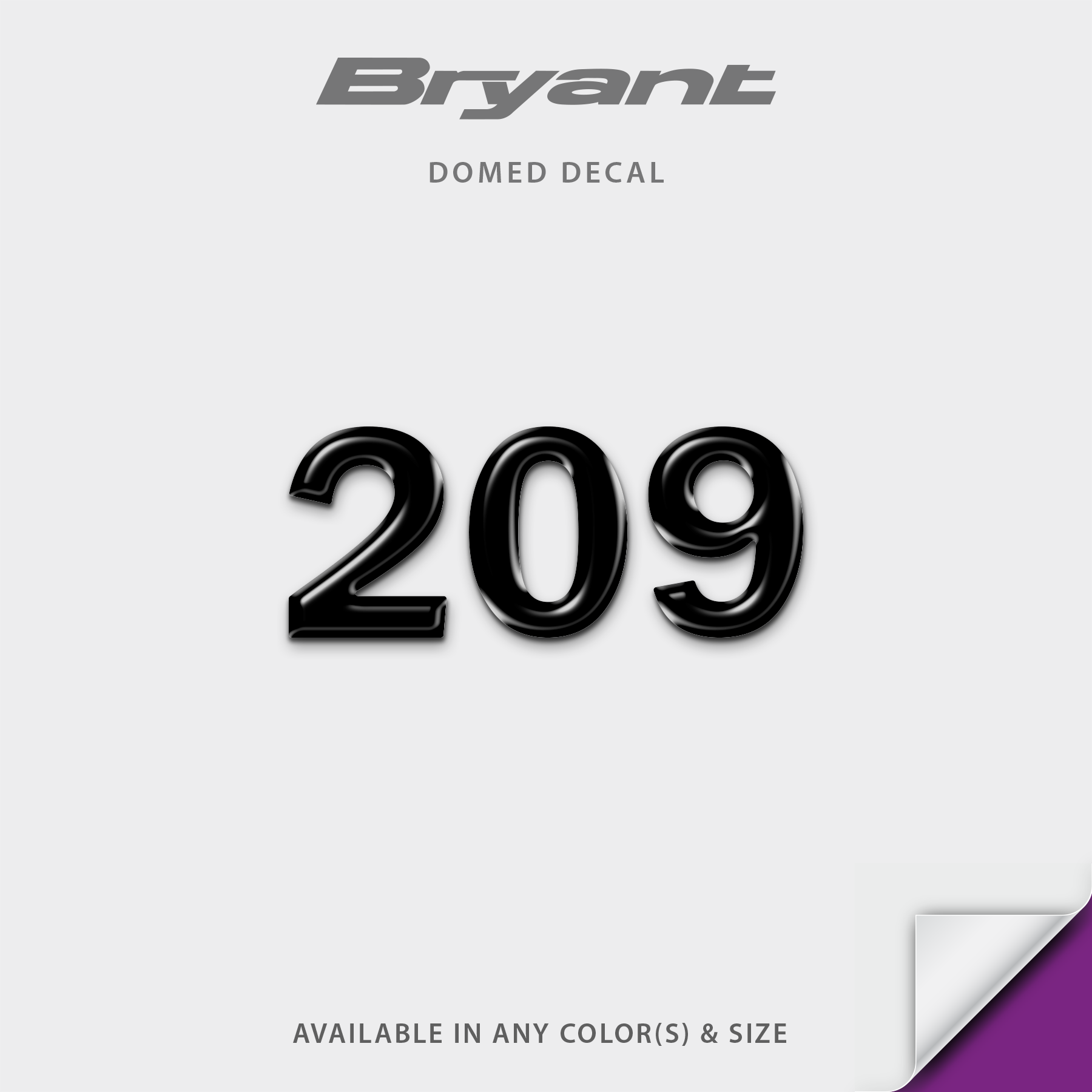 Bryant Boats Model 209 Domed Boat Decal