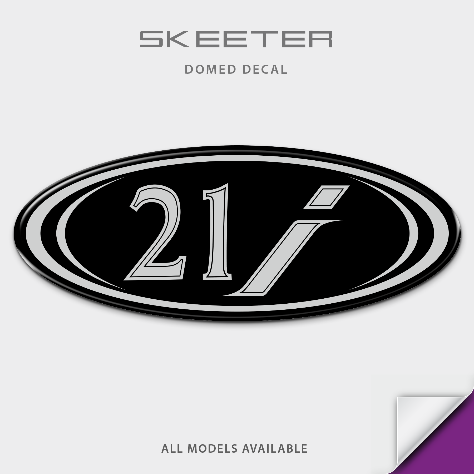 2007-2008 Skeeter I-class Model Number Domed Boat Decal