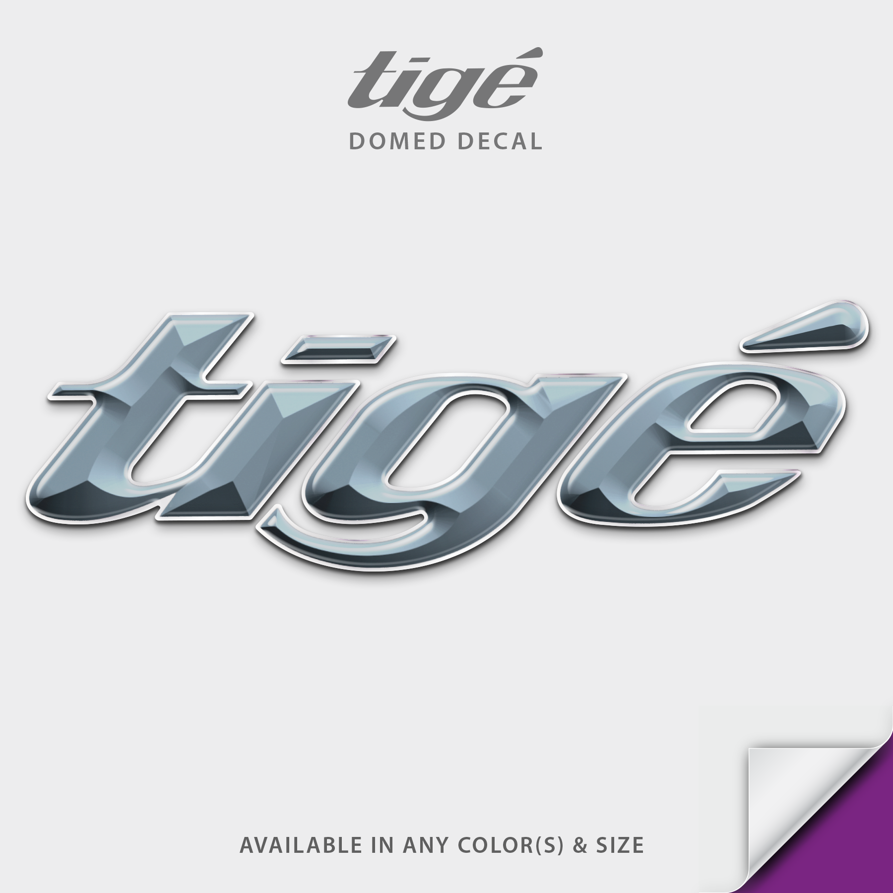 2016-2026 Tige Domed Boat Decal