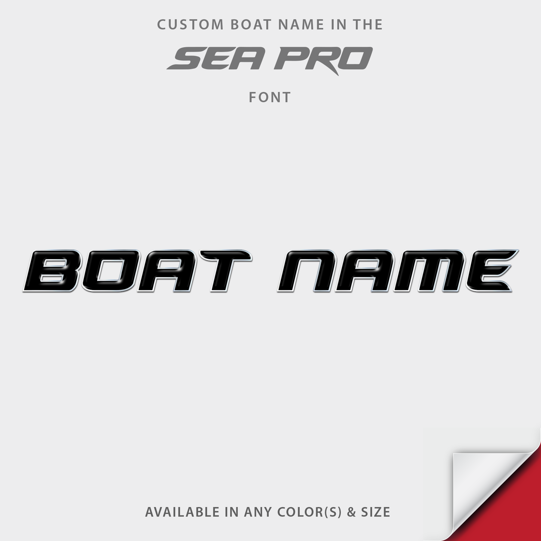 Sea Pro Domed Boat Name
