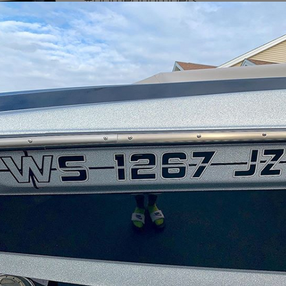 2017-2019 Axis Domed Registration, Factory Decal Matched Colors