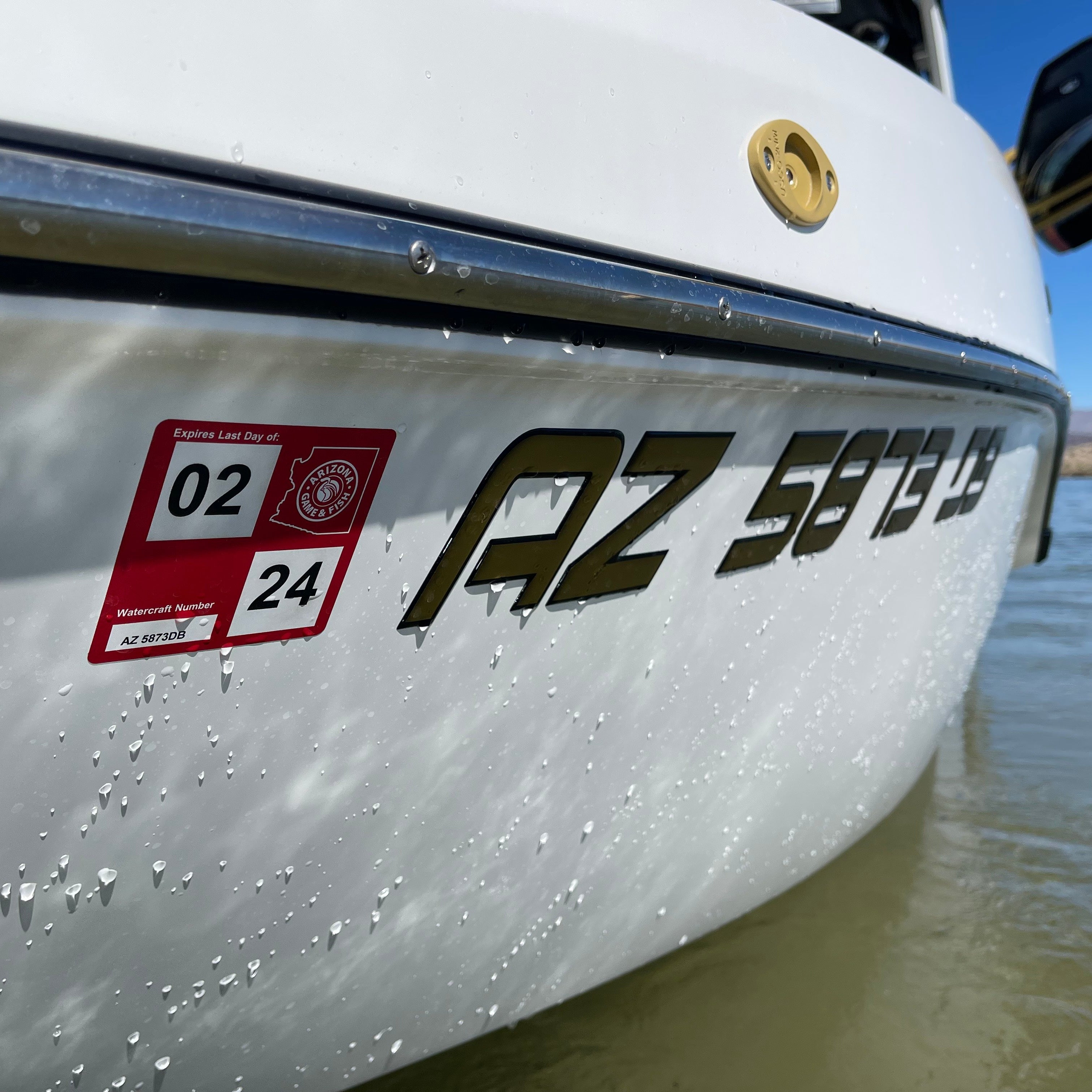 MB Boats Domed Registration