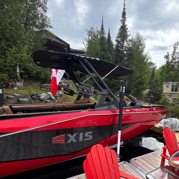 2015-2024 Axis Domed Inlay Decal