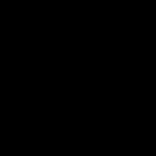 Centurion Onyx Black